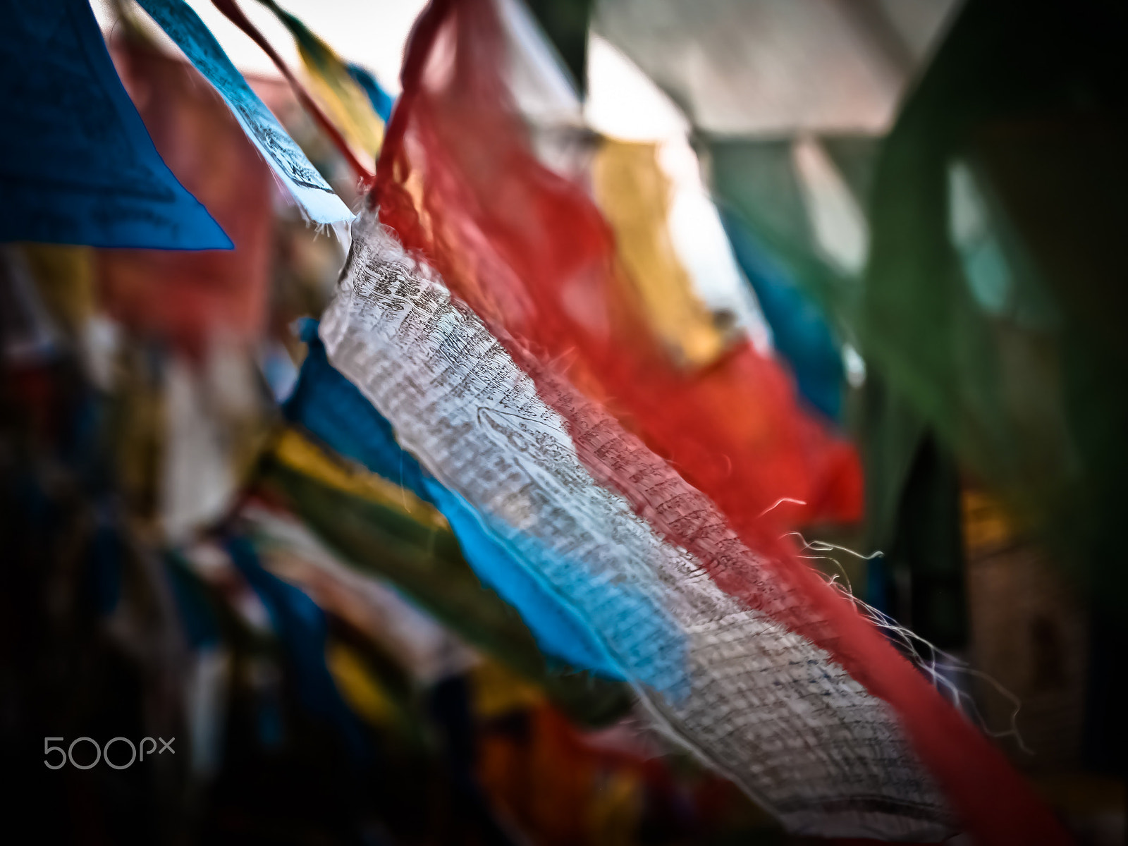 Canon EOS 5D + Sigma 24-70mm F2.8 EX DG Macro sample photo. Windhorse photography