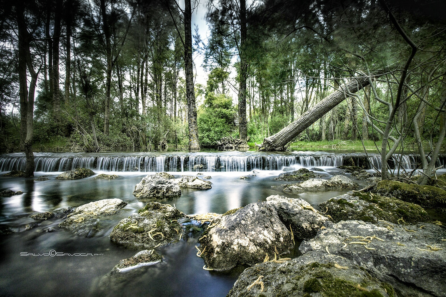 Canon EF-S 10-18mm F4.5–5.6 IS STM sample photo. Mother nature photography