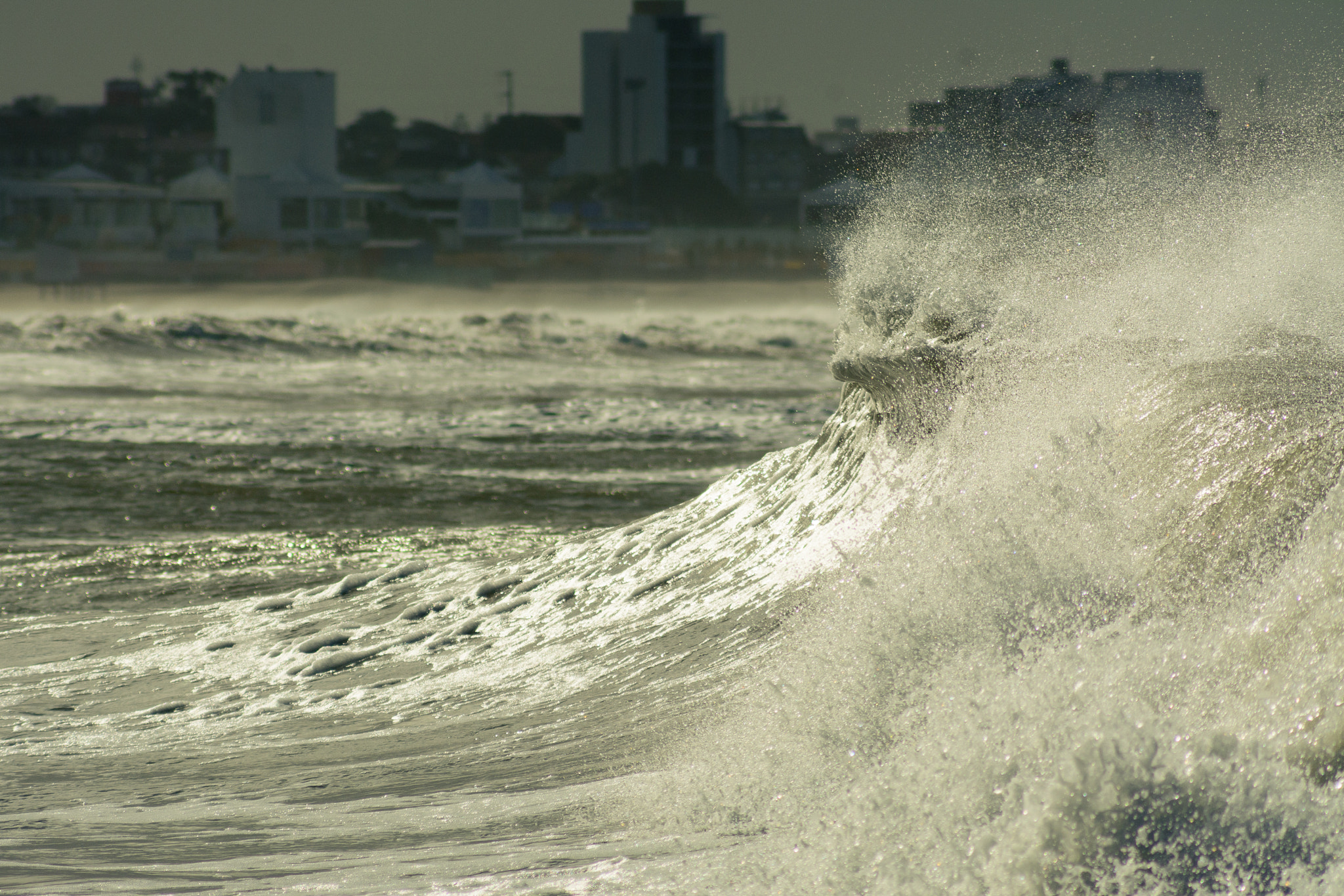 AF Zoom-Nikkor 75-300mm f/4.5-5.6 sample photo. Fuertes vientos del sur photography
