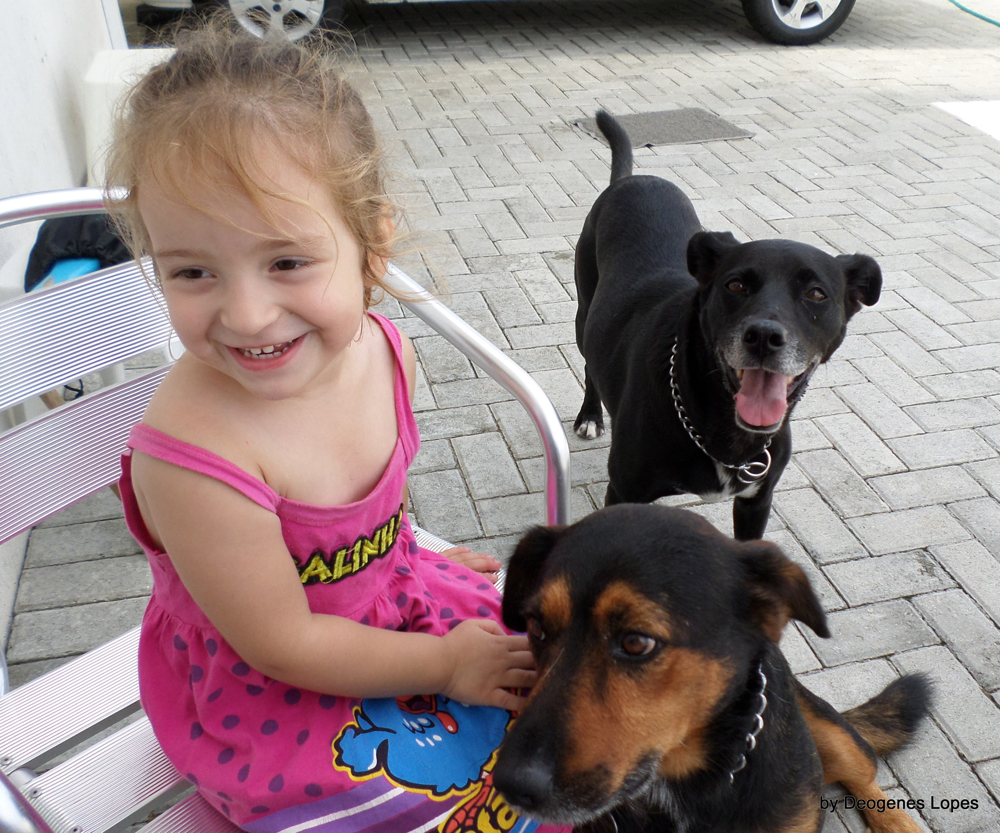 Samsung DV150F/DV151F/DV155F sample photo. My dogs and isadora. photography