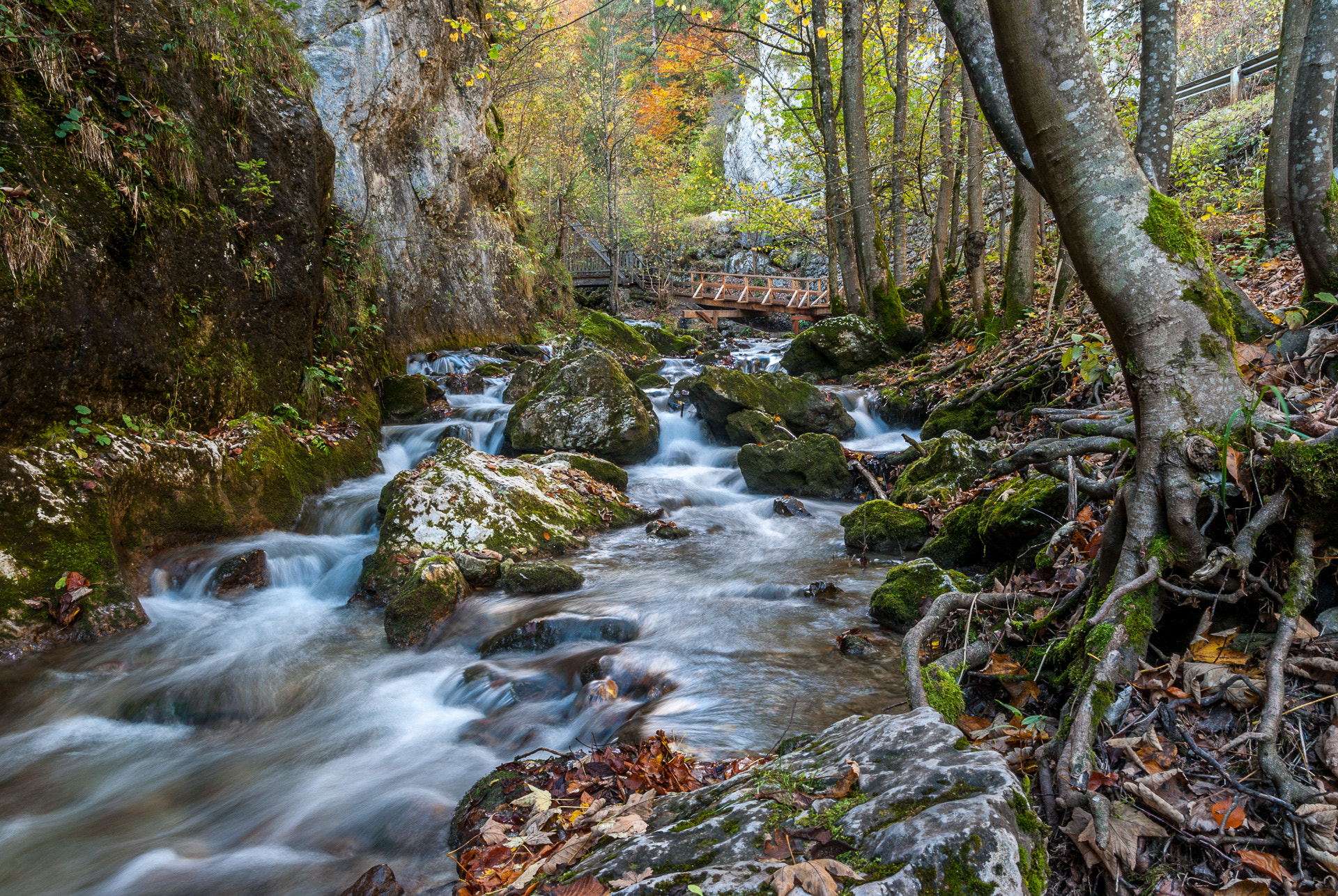 Pentax K200D sample photo. River in the woods photography