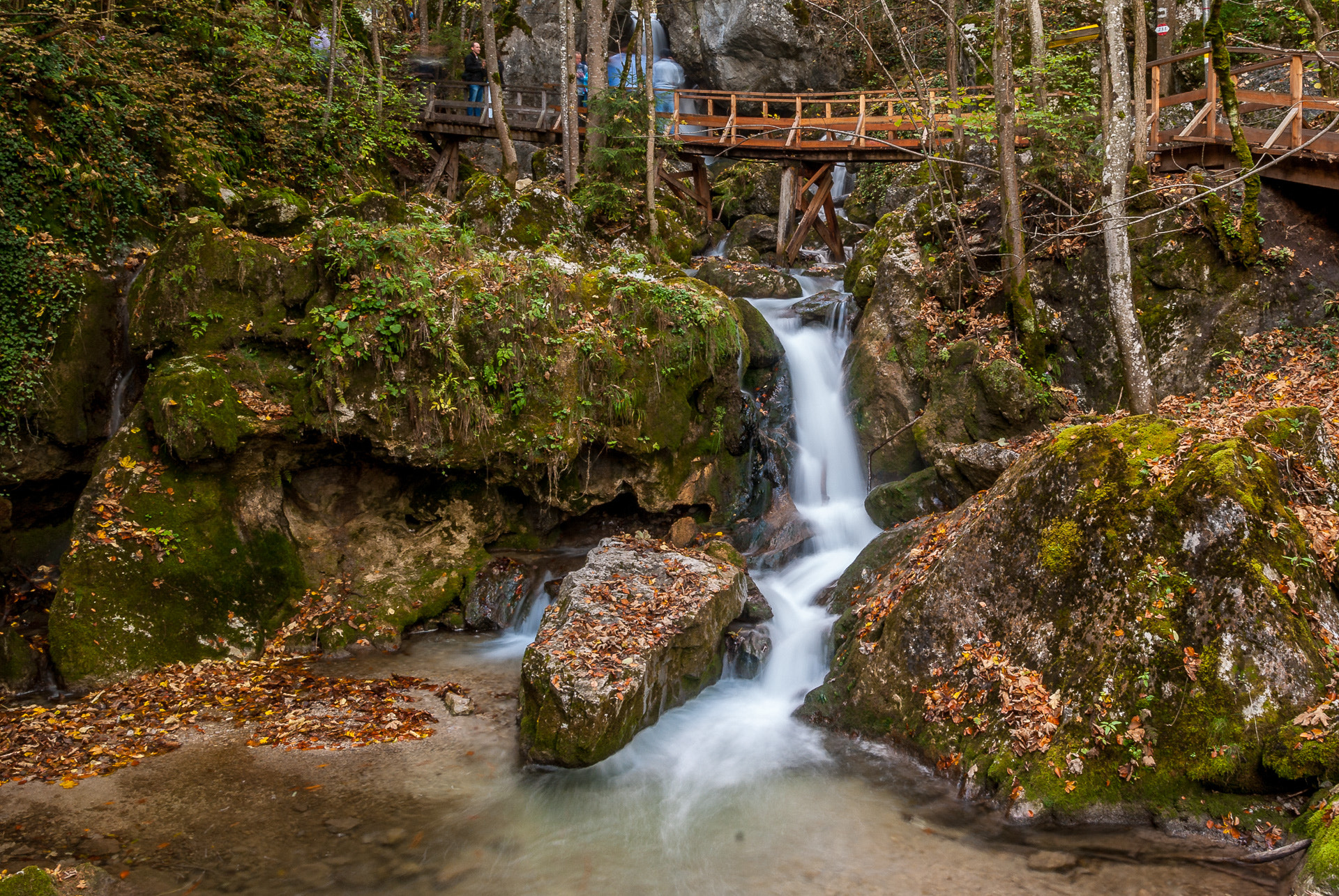 Pentax K200D sample photo. Waterfall in the woods photography