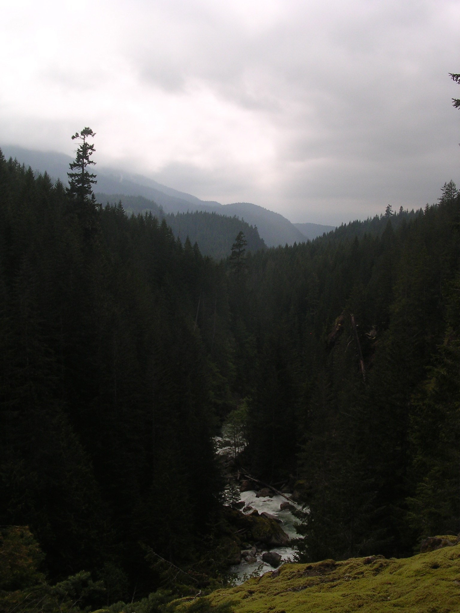 Nikon E3100 sample photo. River through mountains photography