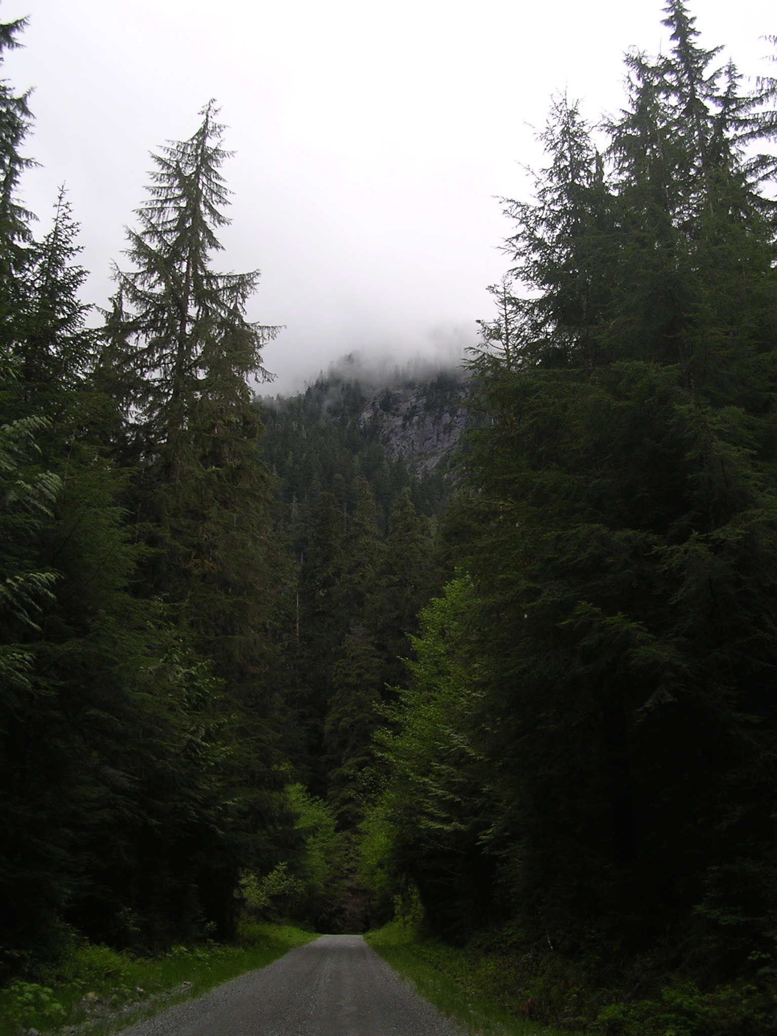 Nikon E3100 sample photo. Snoqualmie drive photography