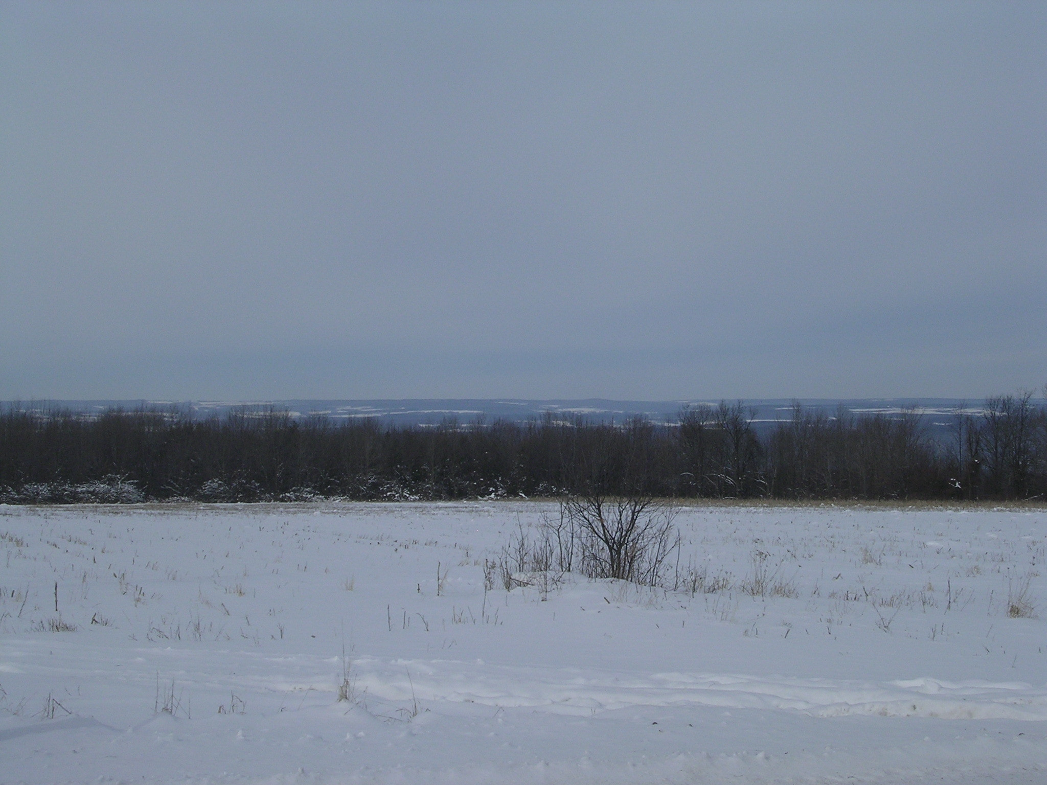 Nikon E3100 sample photo. Winter in western ny photography