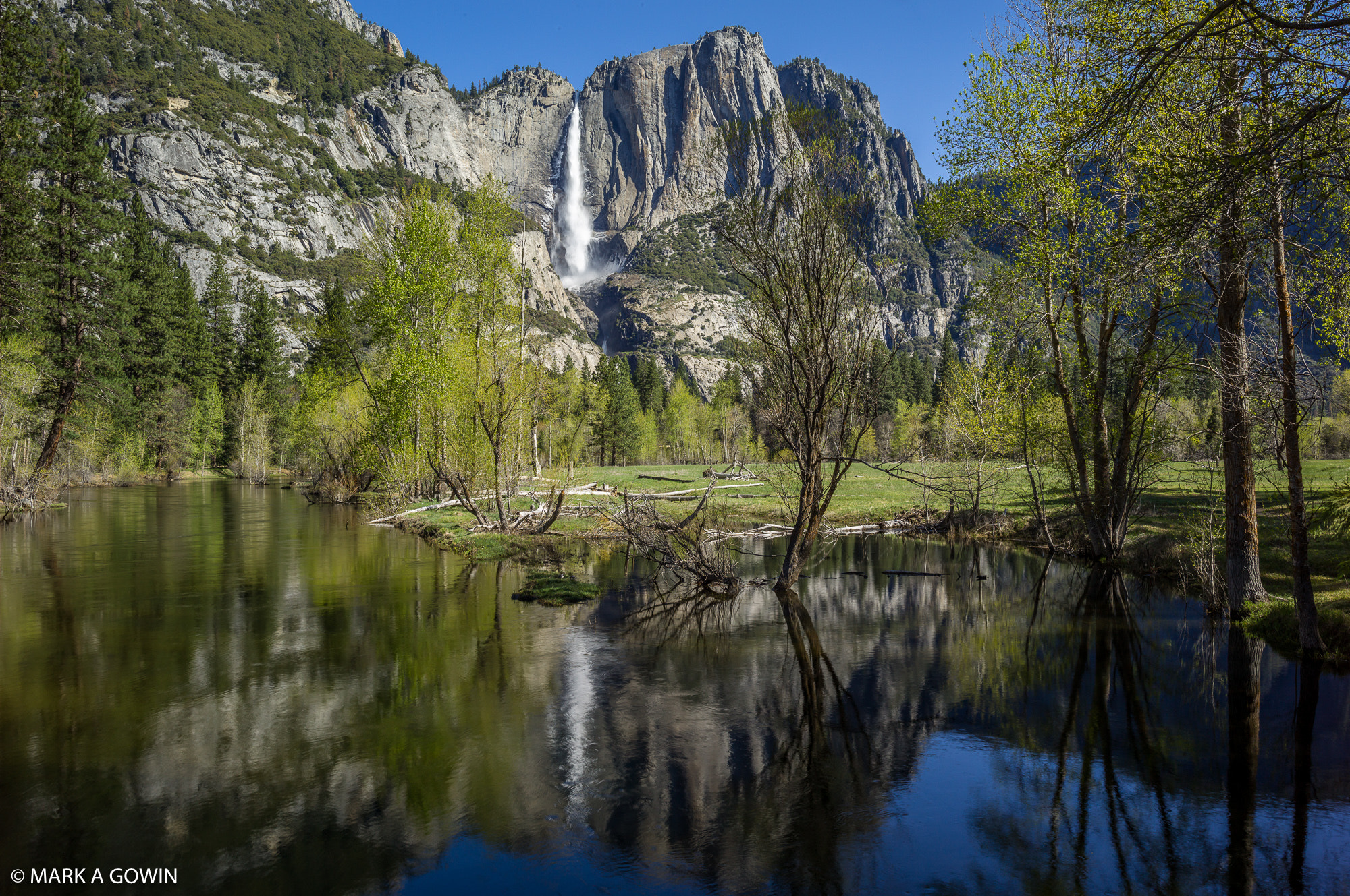 Summarit-S 35 sample photo. Yosemite valley photography