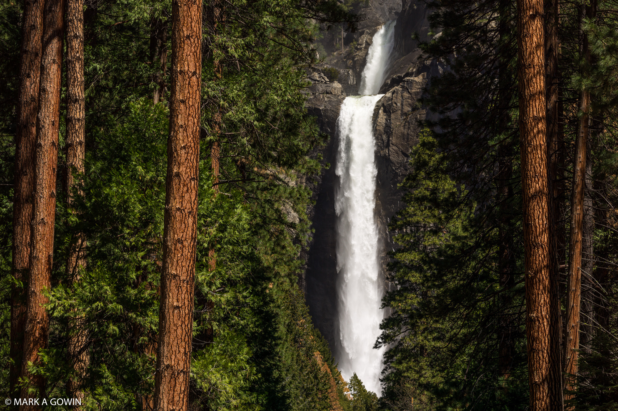 Apo-Elmar-S 180 sample photo. Yosemite falls photography