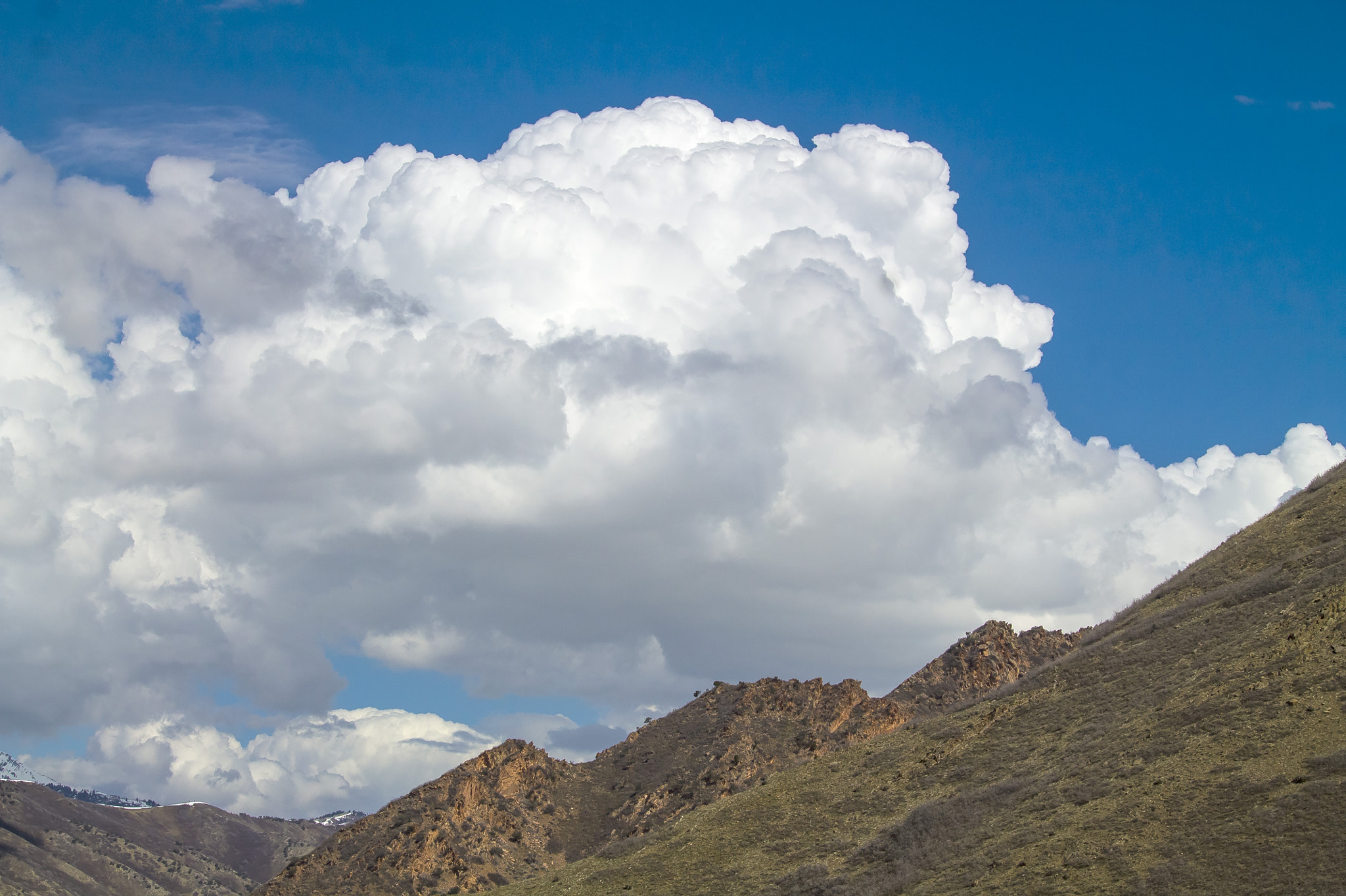 Canon EF-S 55-250mm F4-5.6 IS STM sample photo. In the foothills around salt lake city ut photography