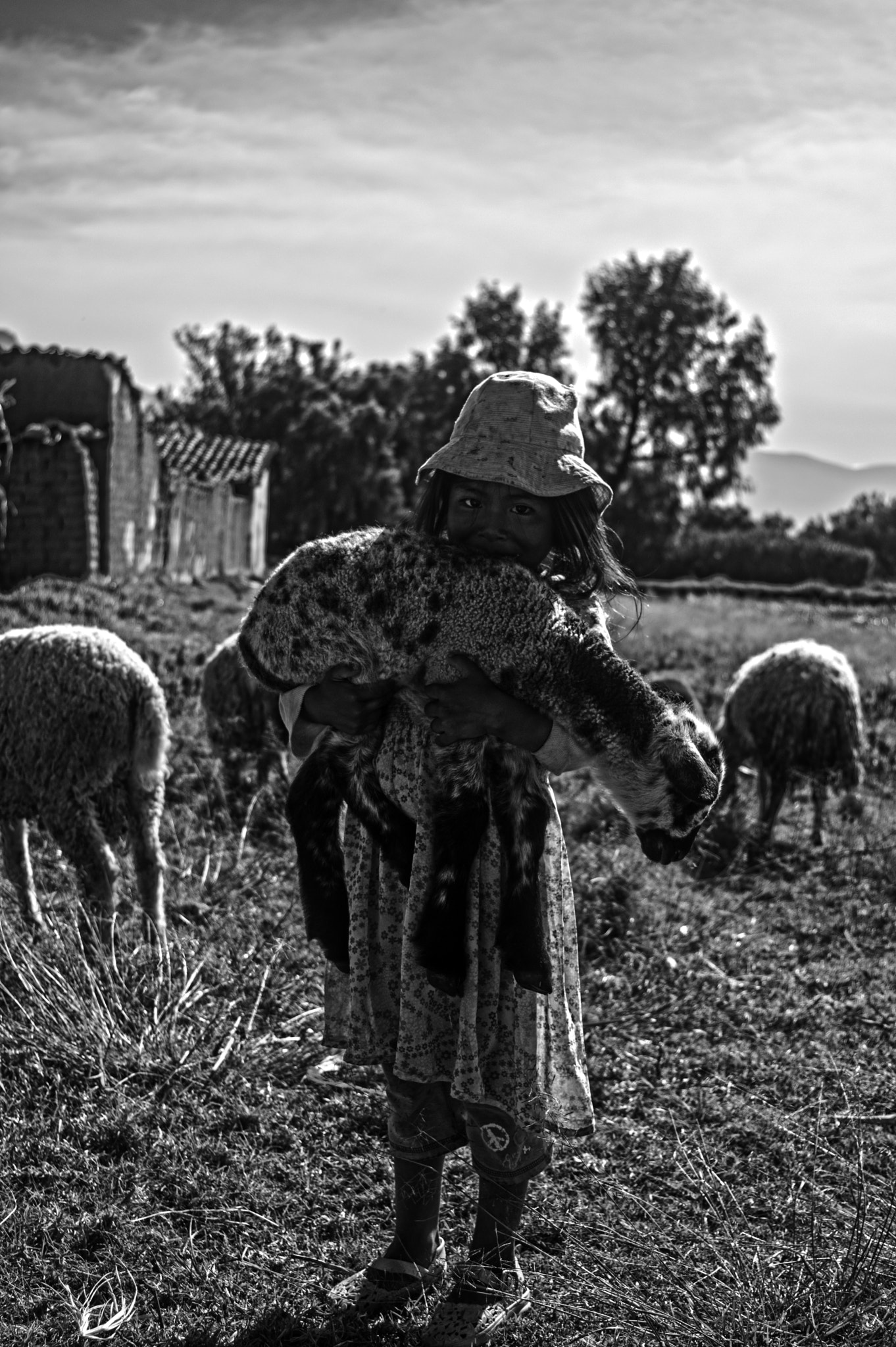 Pentax smc DA 18-55mm F3.5-5.6 ED AL II (IF) sample photo. The little shepherd (bolivia2016) photography