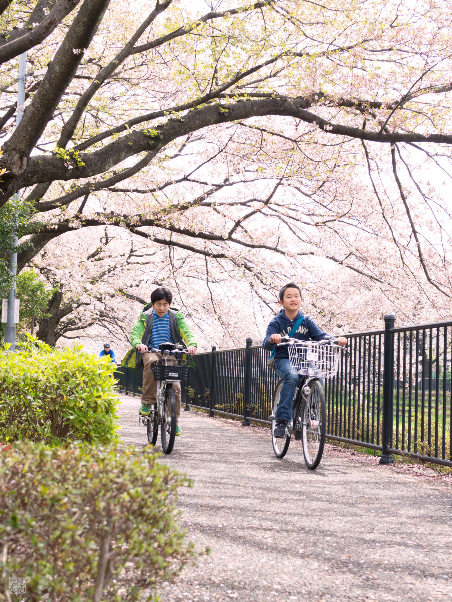 Olympus OM-D E-M10 + Sigma 30mm F2.8 DN Art sample photo. Children in the springtime photography