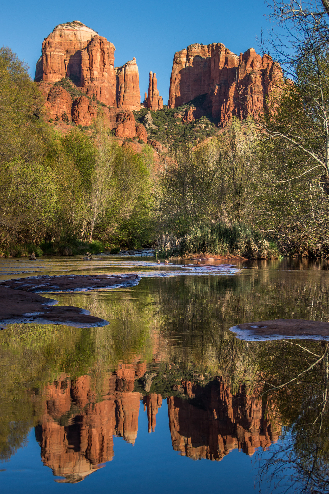 Canon EOS 100D (EOS Rebel SL1 / EOS Kiss X7) sample photo. Cathedral rock reflection photography