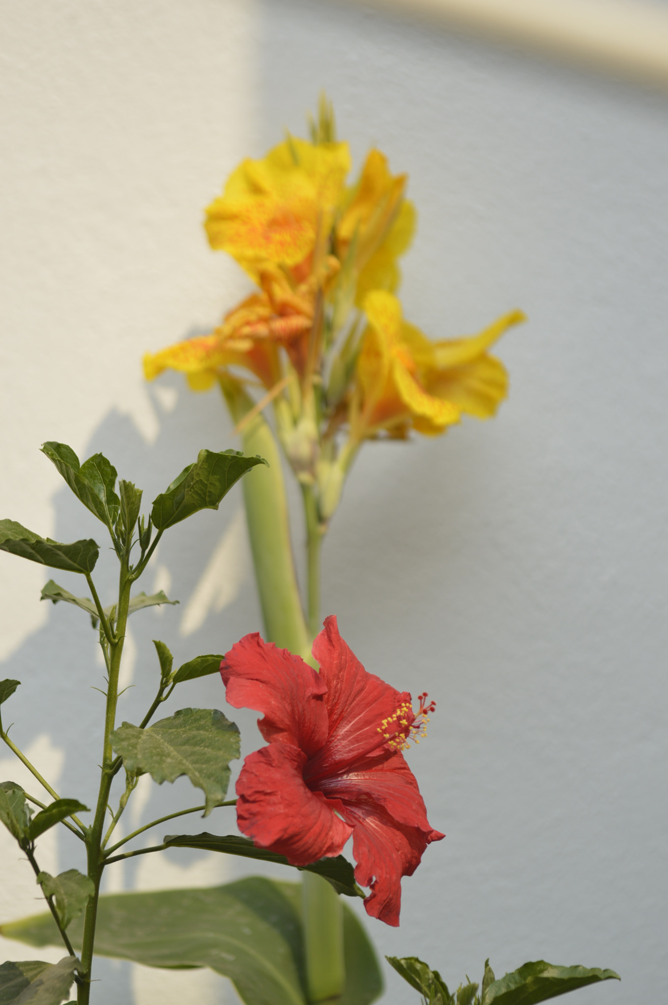 Sigma 70-200mm F2.8 EX DG OS HSM sample photo. Bokehworld photography