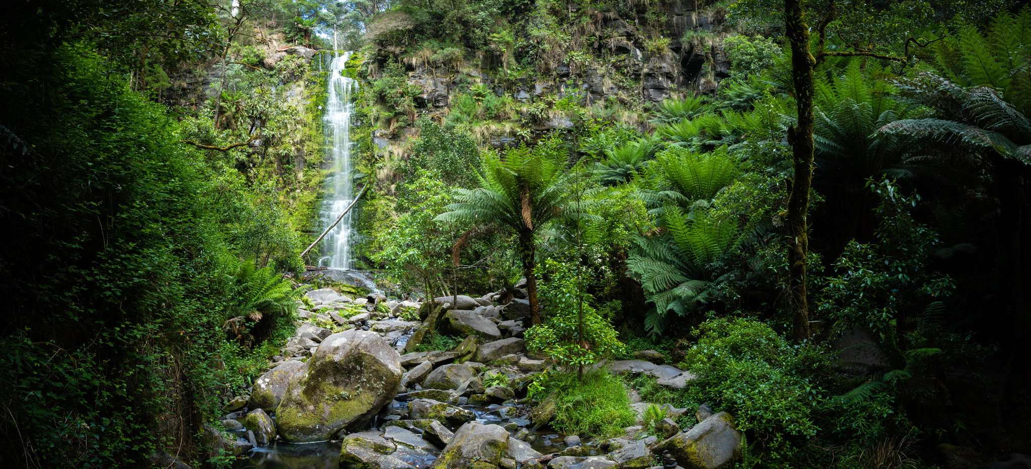 Canon EOS 7D Mark II + Canon EF-S 18-55mm F3.5-5.6 IS STM sample photo. Erskine falls, lorne, victoria photography