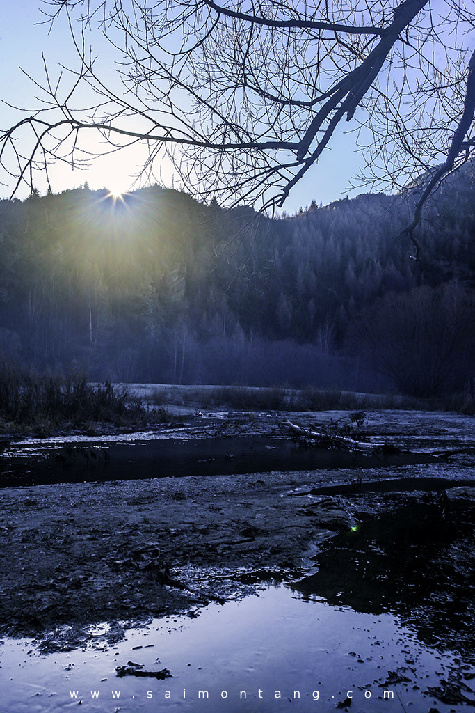 Canon EOS 5D + EF28-70mm f/2.8L USM sample photo. Cold morning photography