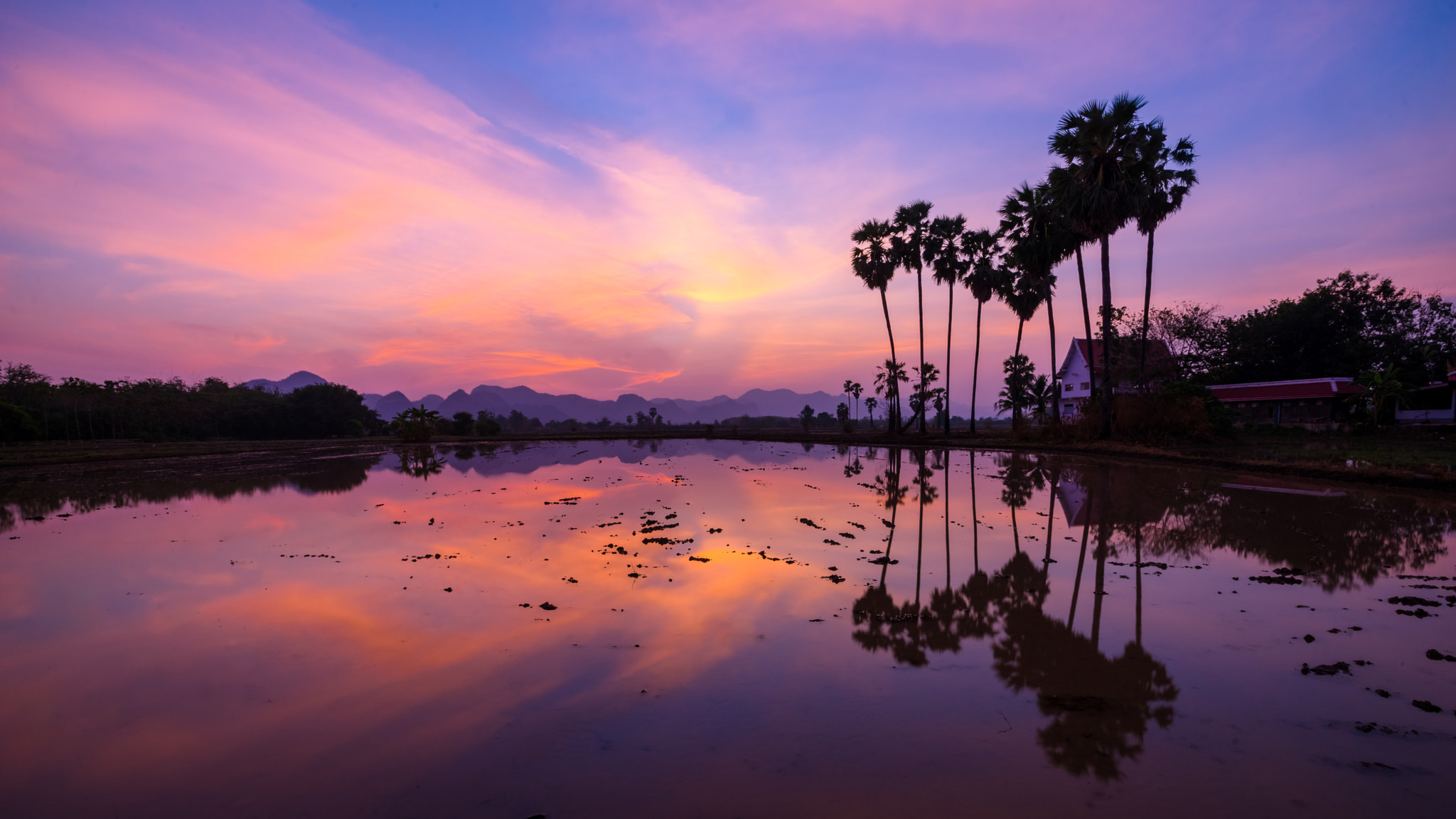 Sony a7 + Sony Vario-Sonnar T* 16-35mm F2.8 ZA SSM sample photo. Leafless tree near lake on sunset background sky photography