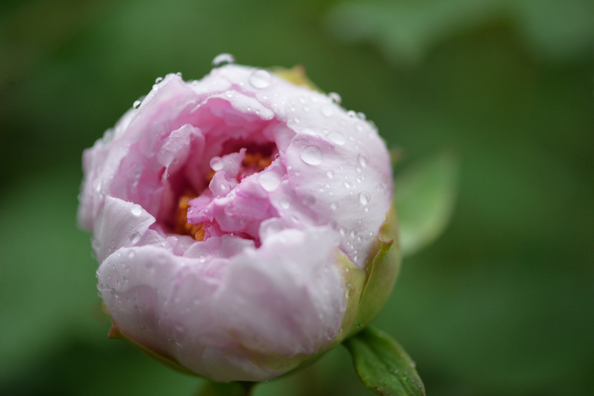 v2?sig=bfb64130ee204c77f6331926bf0048d9bf341b33af4fdba448b6ac7a15da0b4a