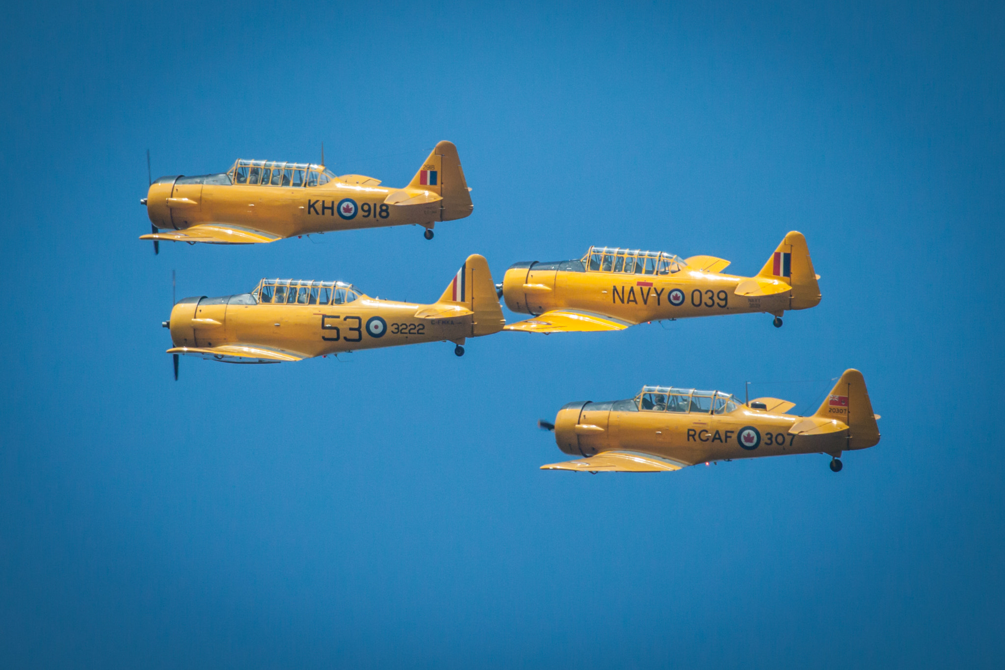 Canon EF 100-400mm F4.5-5.6L IS USM sample photo. Formation photography