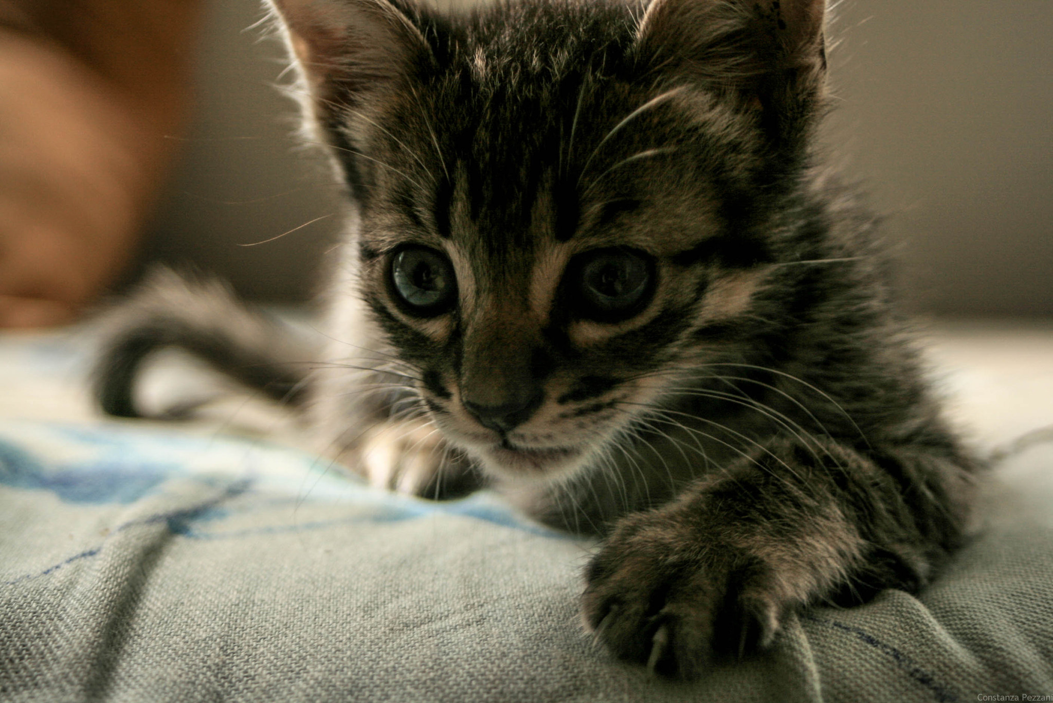 Canon EF 28-80mm f/3.5-5.6 USM IV sample photo. Ragnar. photography