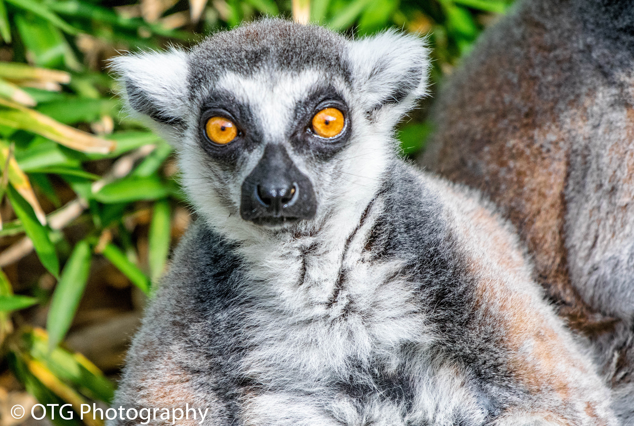 Nikon AF-S Nikkor 200-500mm F5.6E ED VR sample photo. Sup bro? photography