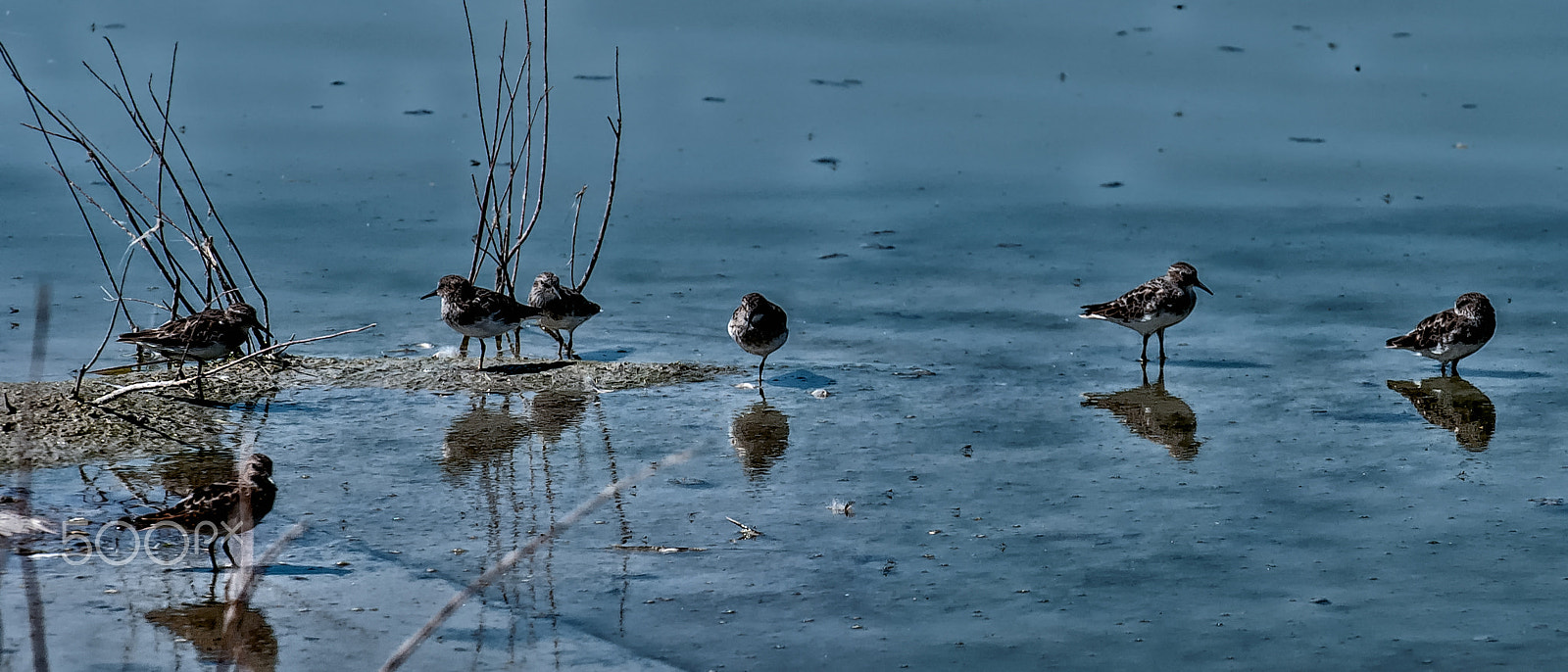 Nikon D60 sample photo. The shallows revisited photography