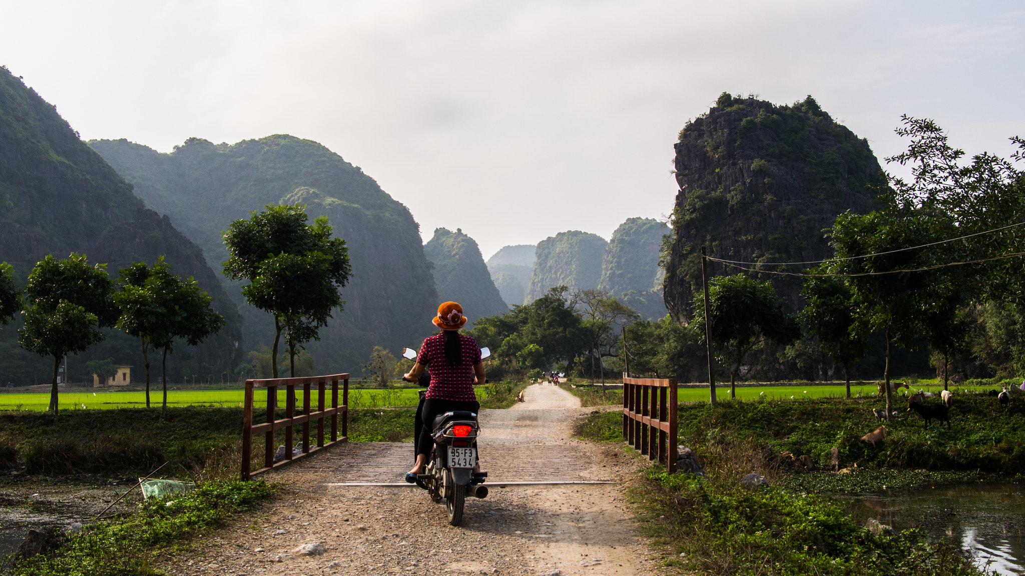 Olympus OM-D E-M5 sample photo. Riding along a dirt road amongst giants photography