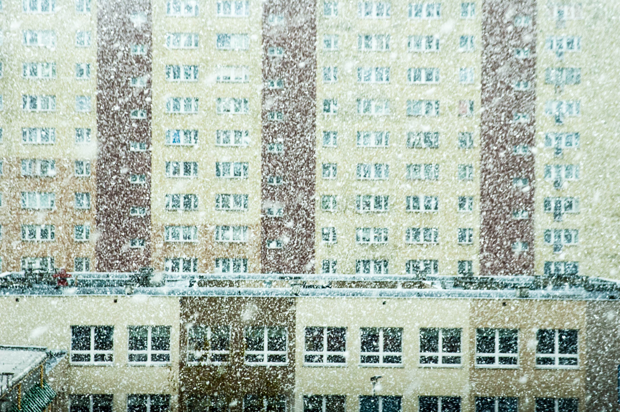 Nikon D70 sample photo. //spril snow photography