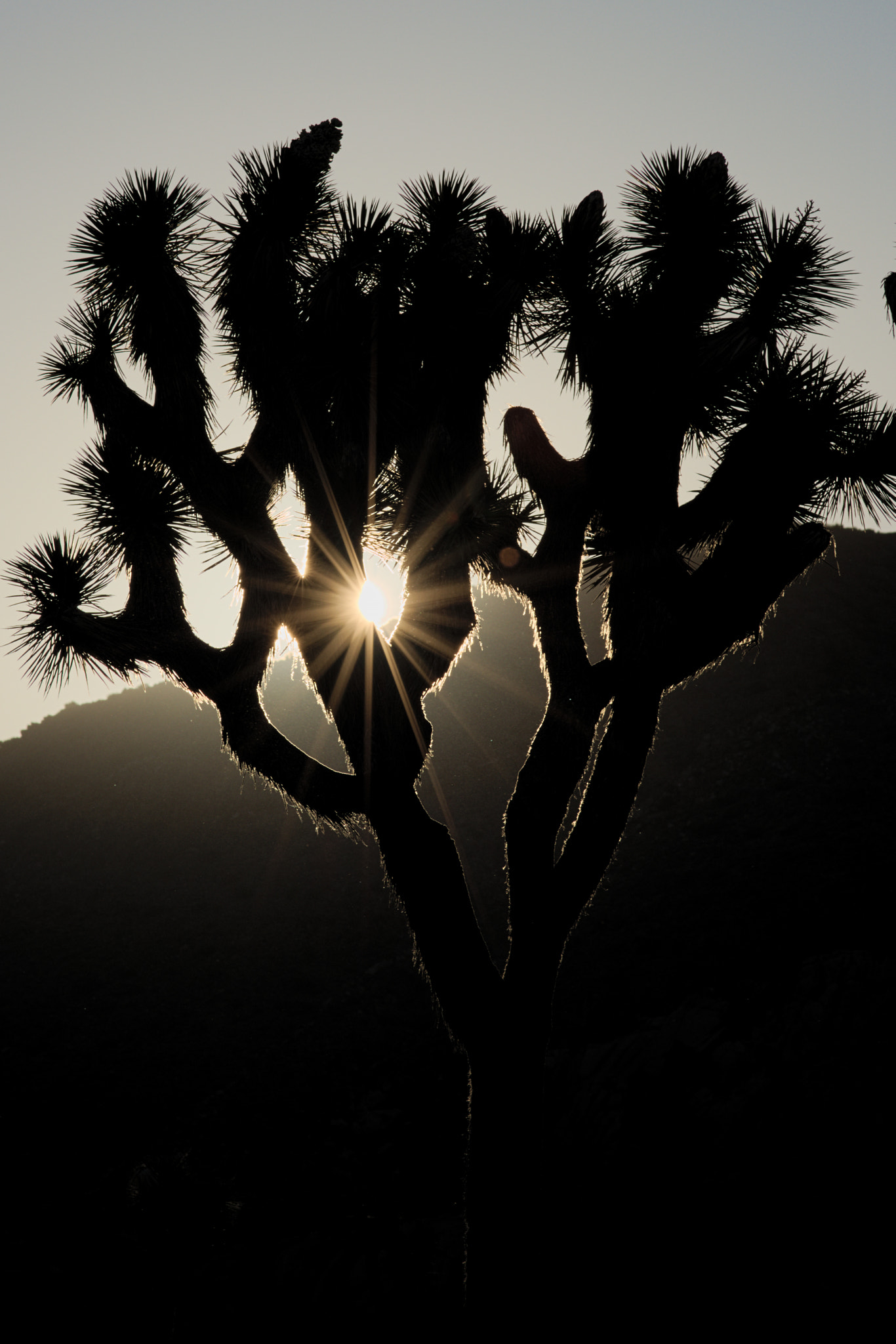 Nikon AF Nikkor 180mm F2.8D ED-IF sample photo. Sunrise, sunrise photography