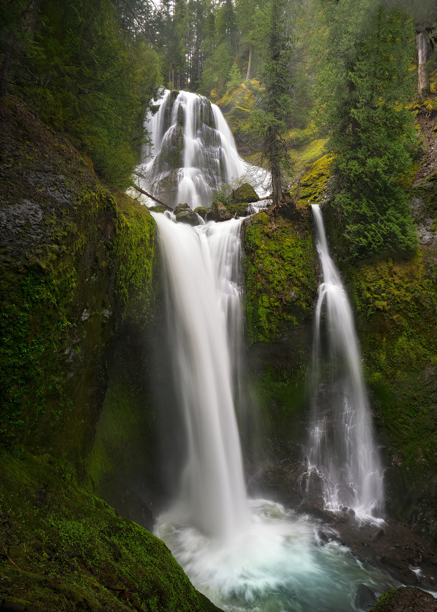 Sony a7R II + Canon EF 17-40mm F4L USM sample photo. Spring report card photography