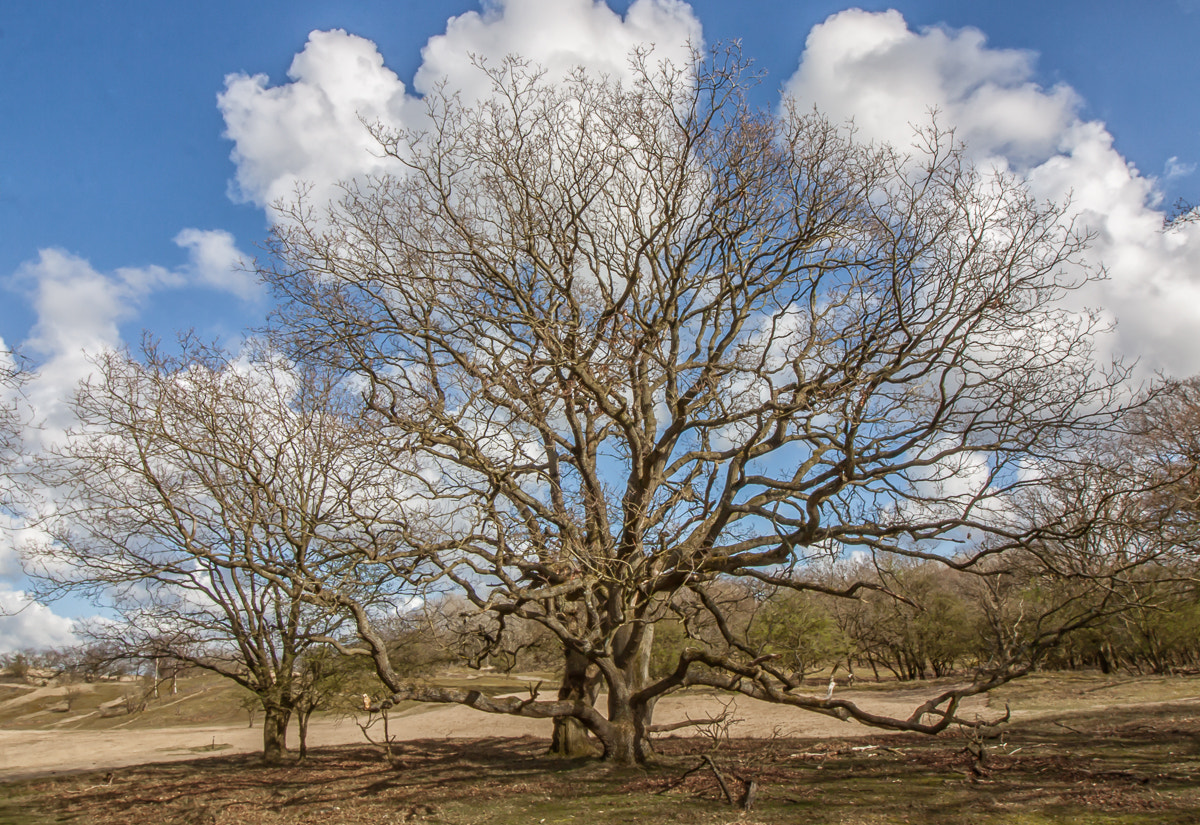 Canon EF-S 10-18mm F4.5–5.6 IS STM sample photo. Cloud halo photography
