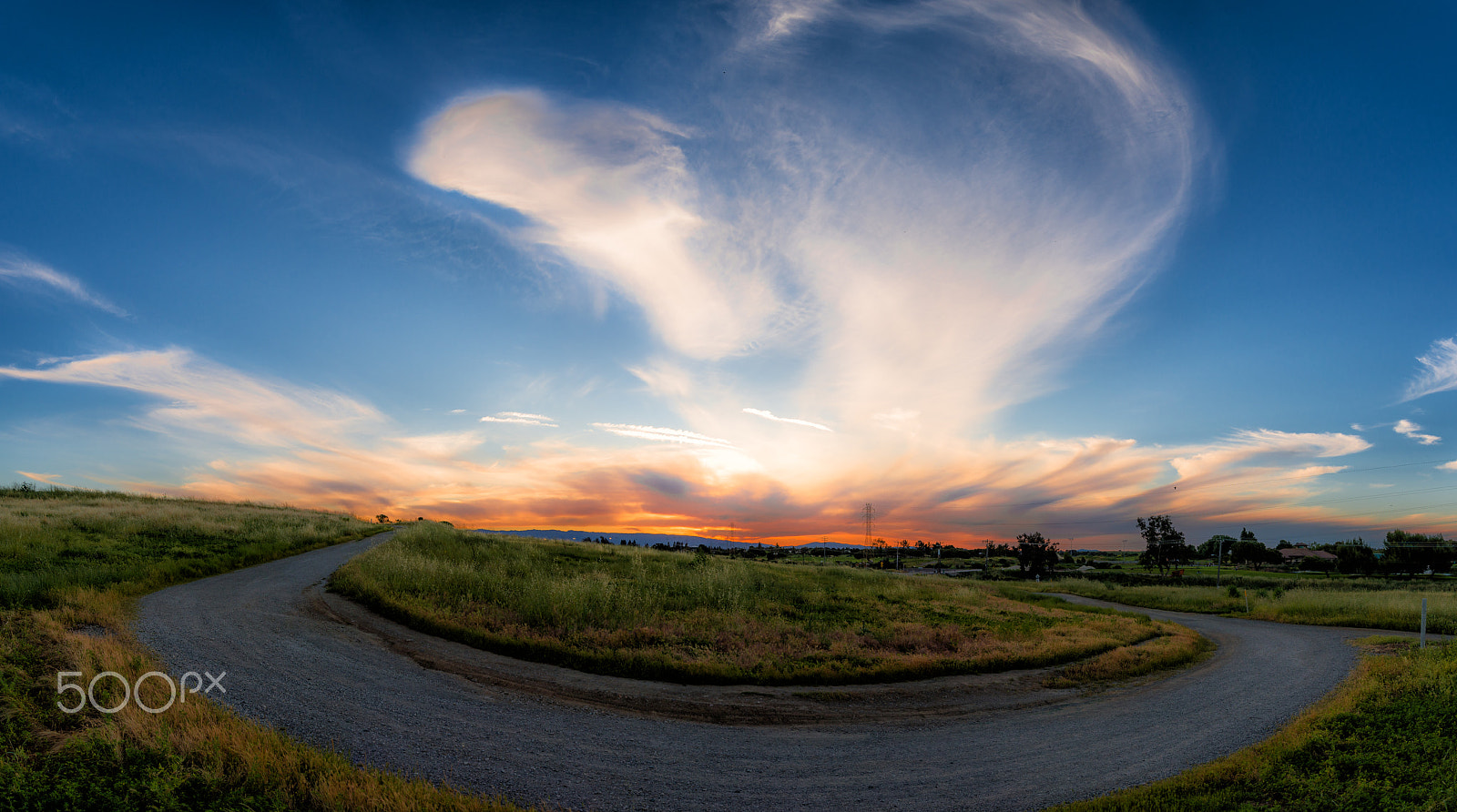 Tamron SP 15-30mm F2.8 Di VC USD sample photo. Cobra photography