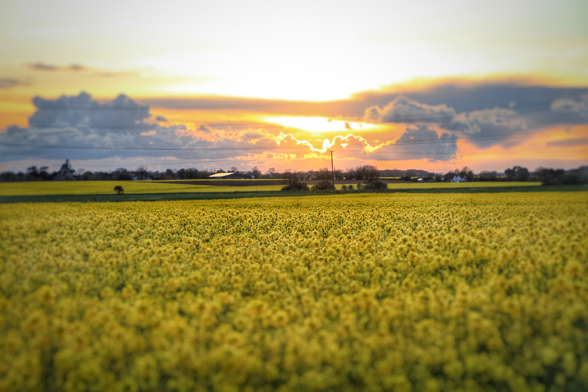 Canon EOS 7D + Canon 18-270mm sample photo. Sunset at sarre kent! taken yesterday evening on w ... photography