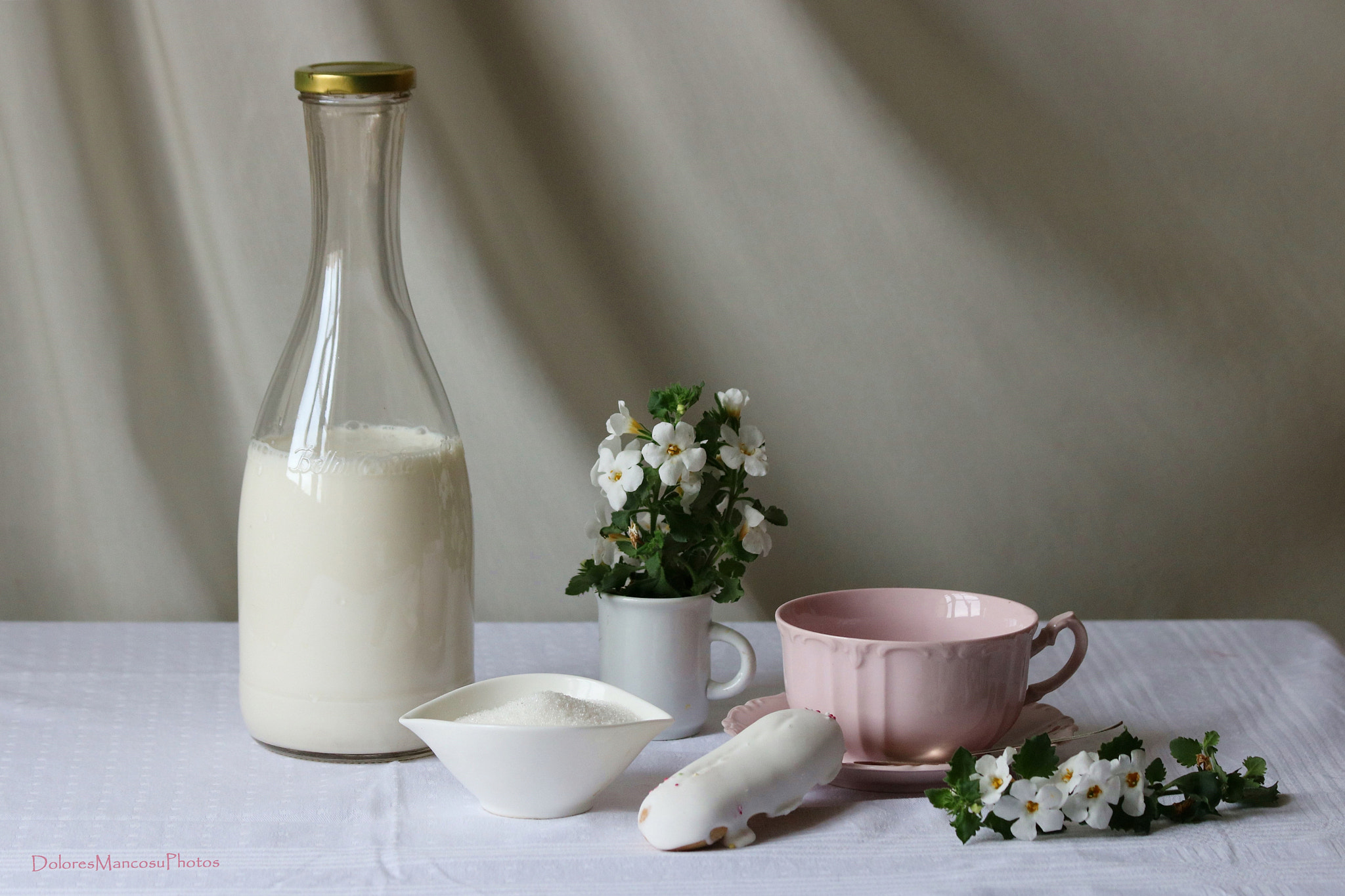 Canon EF 70-300mm F4-5.6 IS USM sample photo. White milk photography