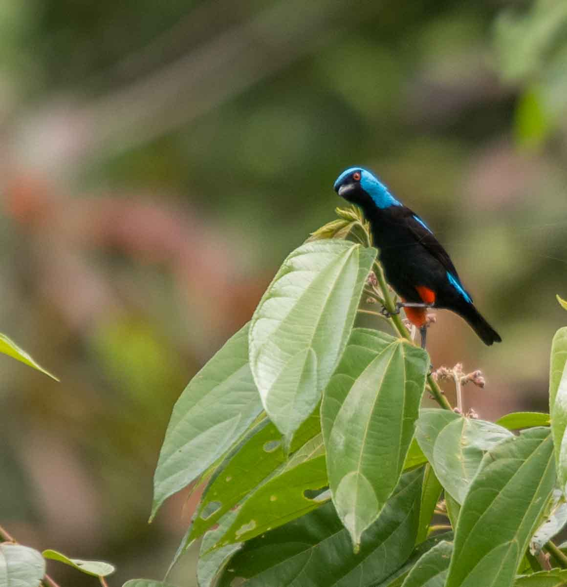 Sigma 120-400mm F4.5-5.6 DG OS HSM sample photo. Alb photography