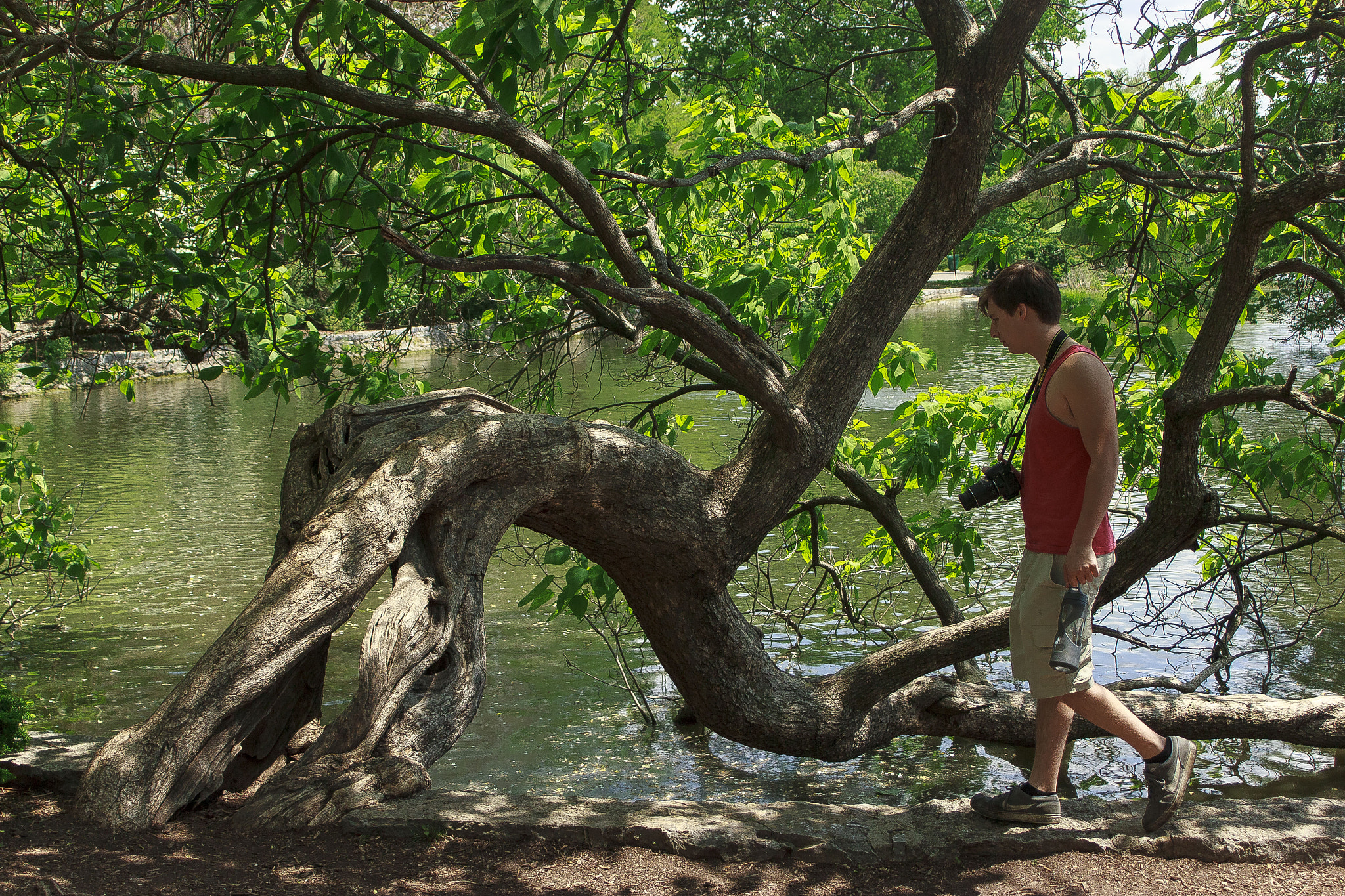 Canon EF 35-80mm f/4-5.6 sample photo. This tree is bending over backwards for some water photography