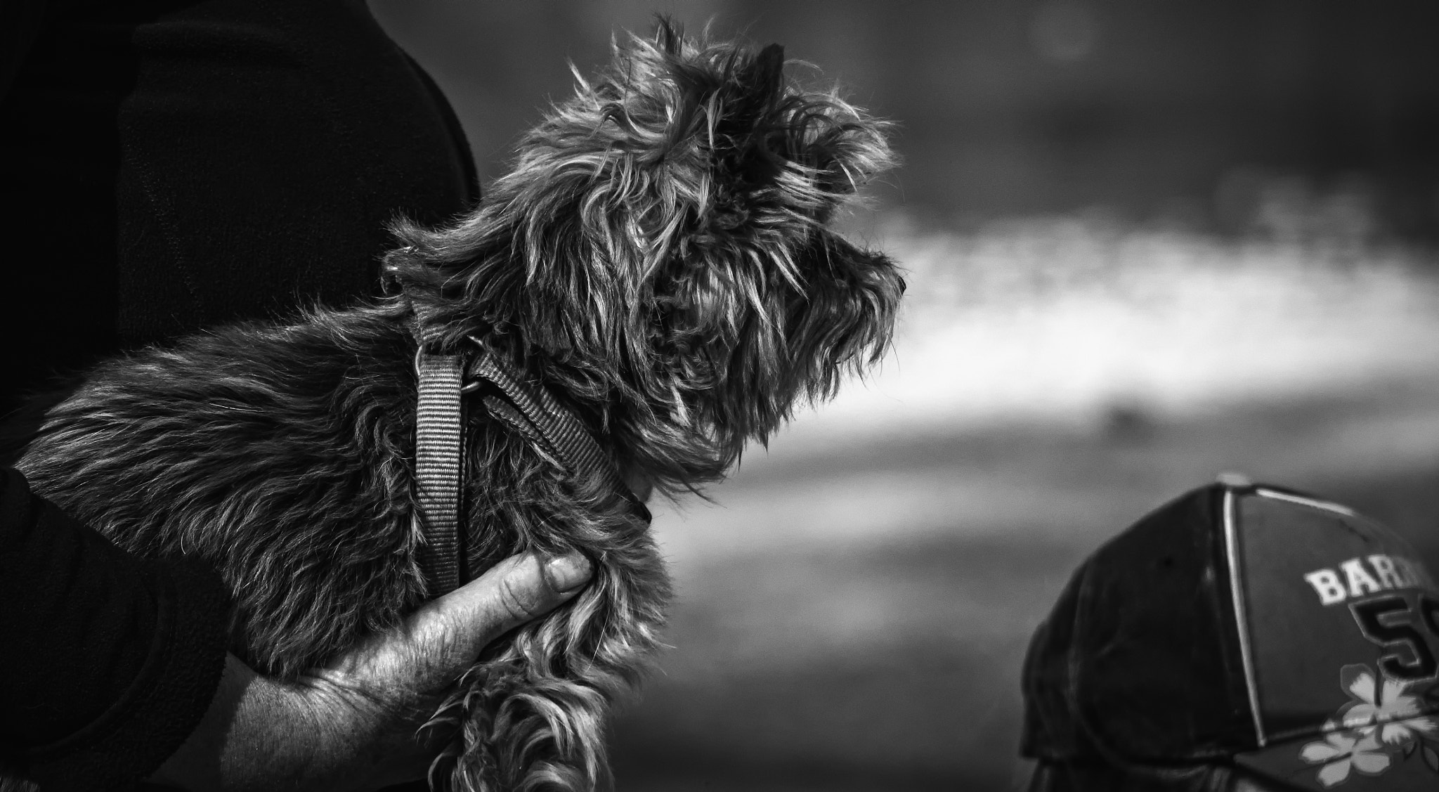 Panasonic Lumix G Vario 45-200mm F4-5.6 OIS sample photo. :looking over there photography