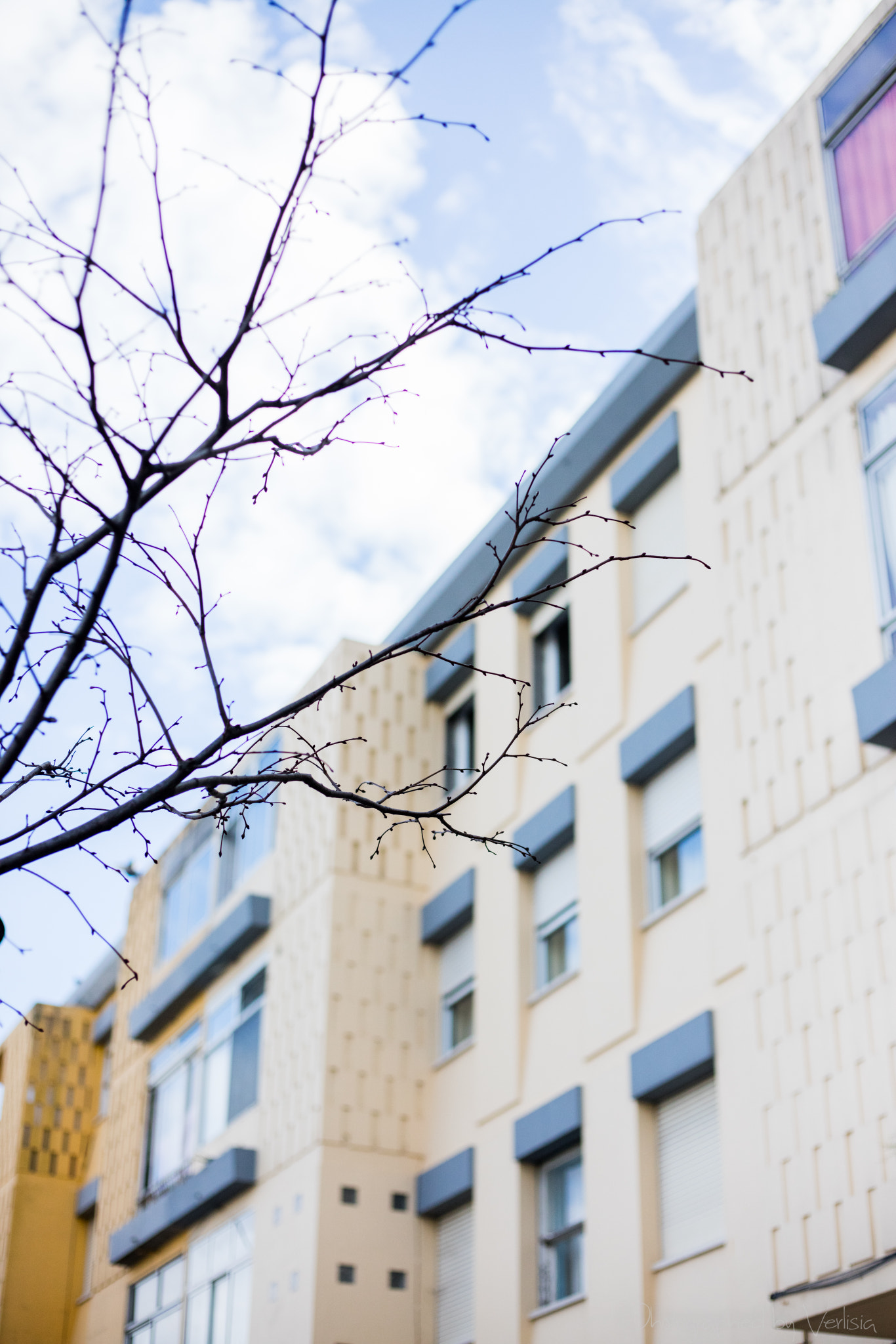 Canon EOS 5DS R sample photo. 160416_0094.jpg photography