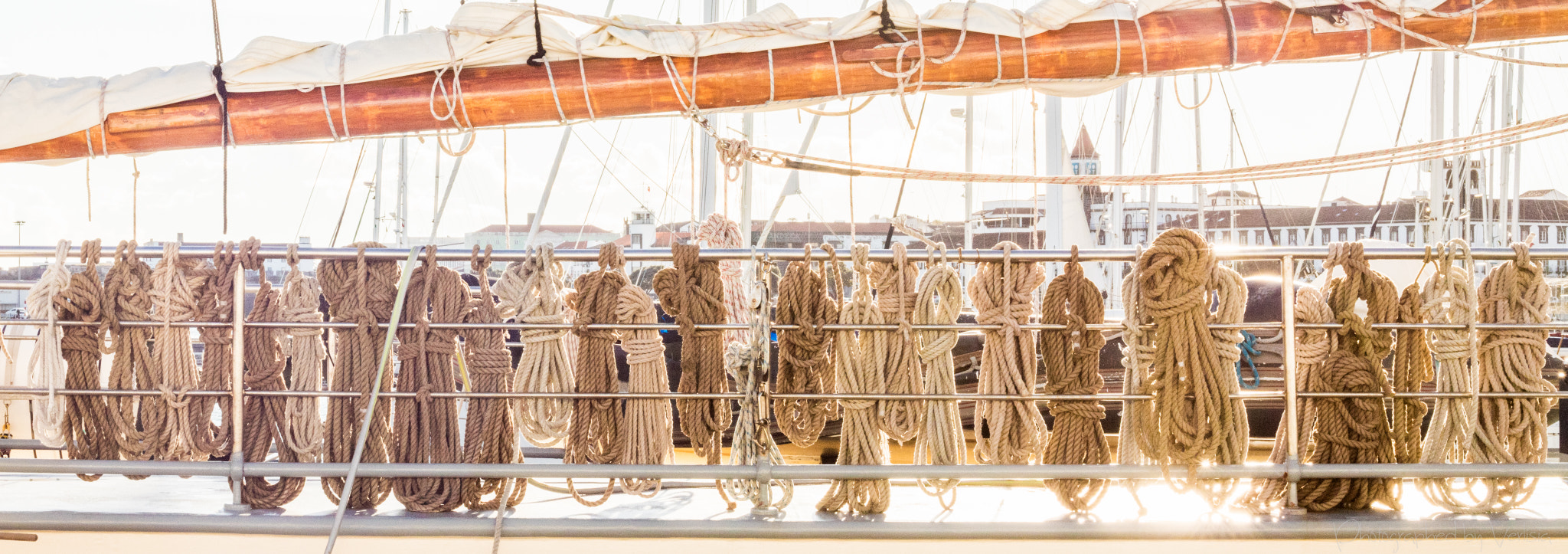 Canon EOS 5DS R sample photo. 160416_0209.jpg photography