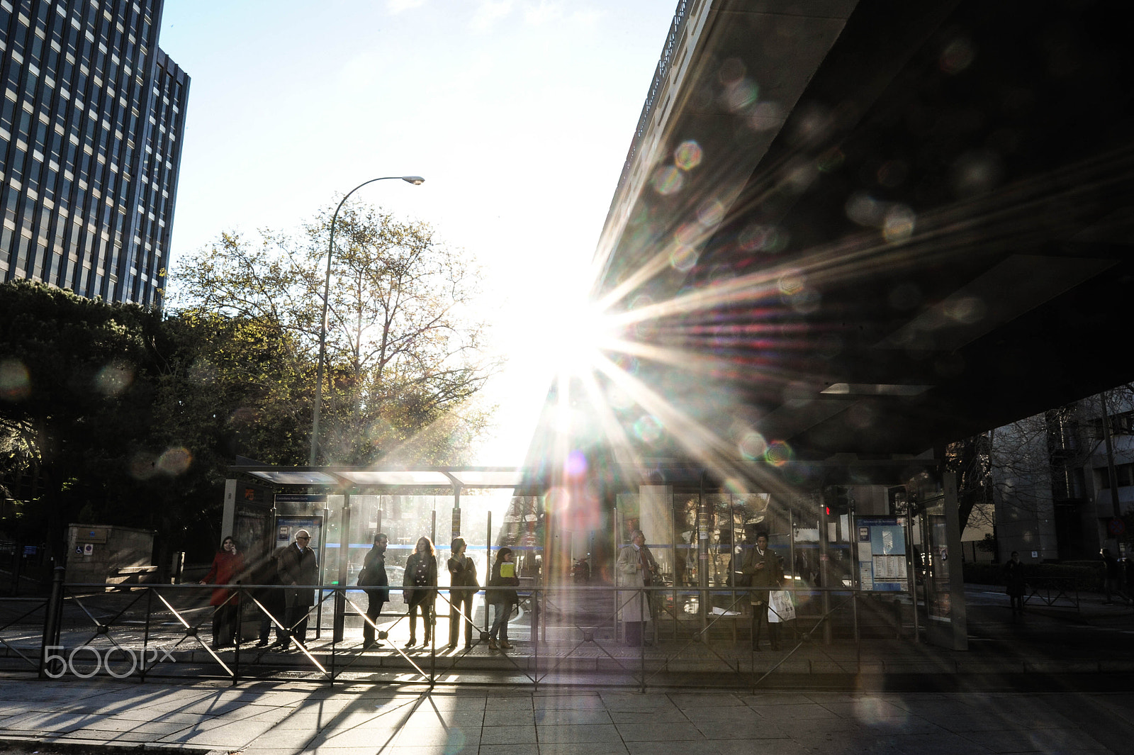 Nikon AF-S Nikkor 18-35mm F3.5-4.5G ED sample photo. After the rain shining photography