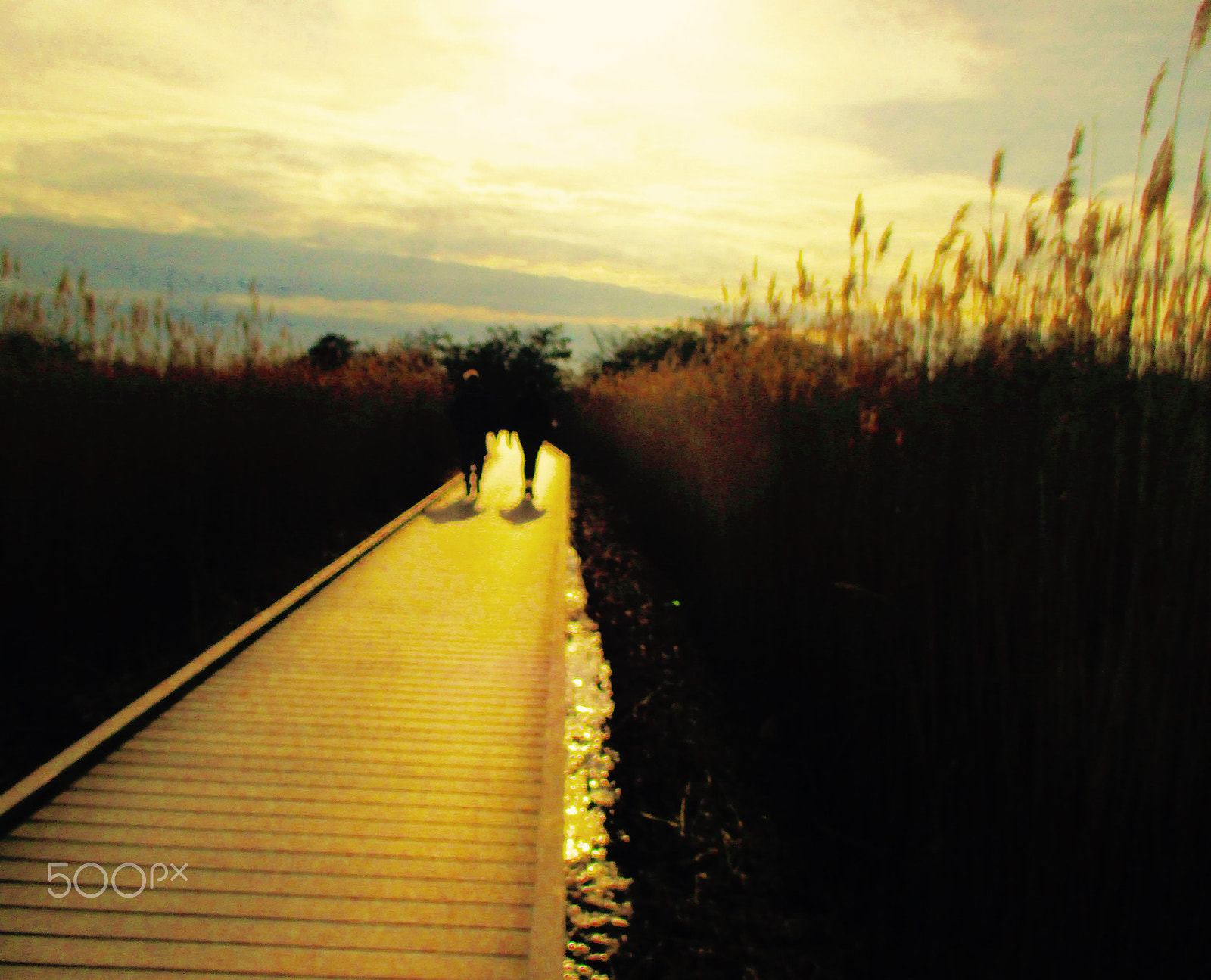 Canon PowerShot ELPH 115 IS (IXUS 132 / IXY 90F) sample photo. Sunset on the beach photography