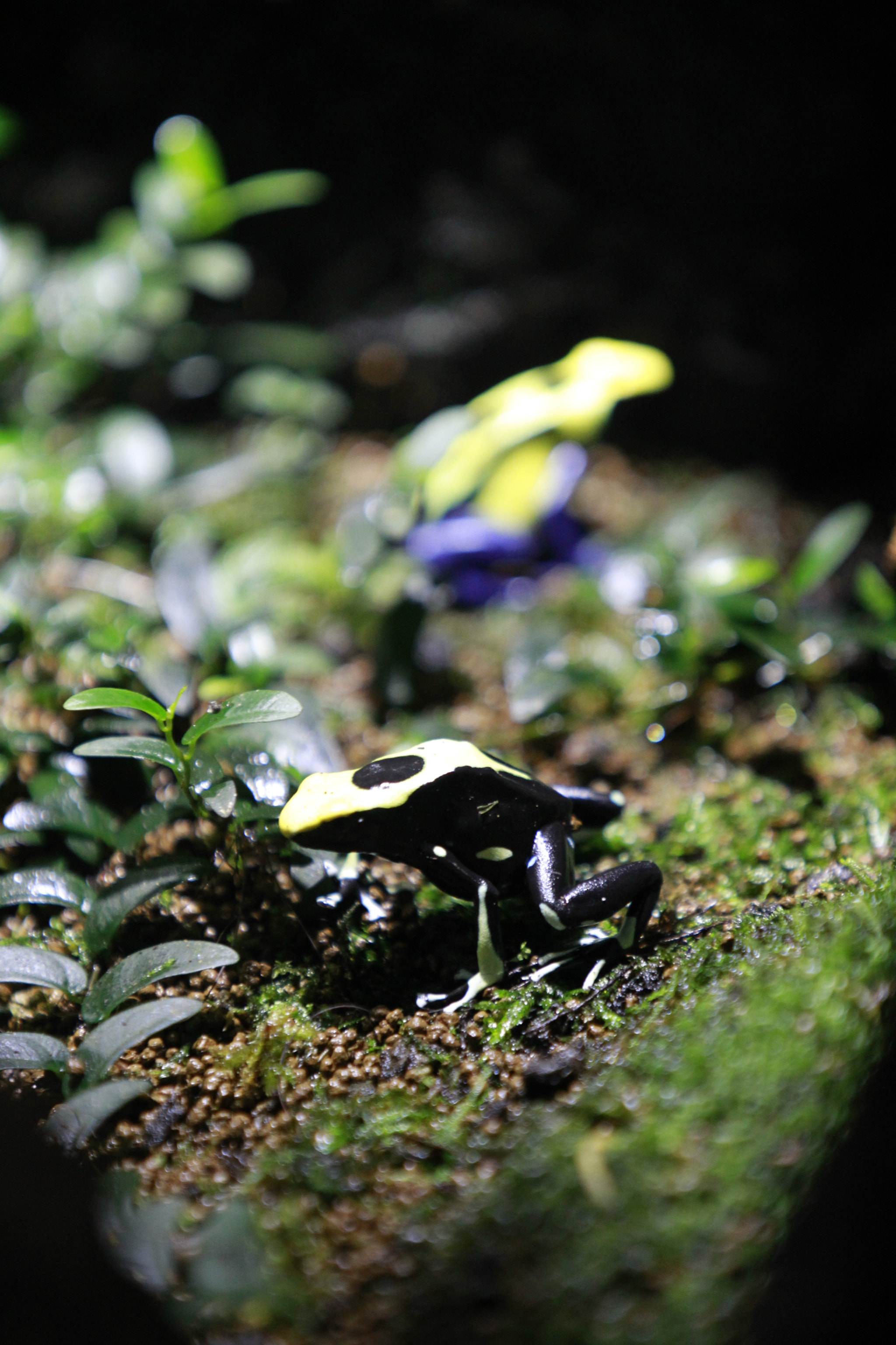 Canon EOS-1D Mark IV sample photo. _d0k0138.jpg photography