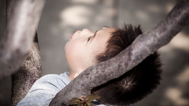 Canon EF 70-210mm f/4 sample photo