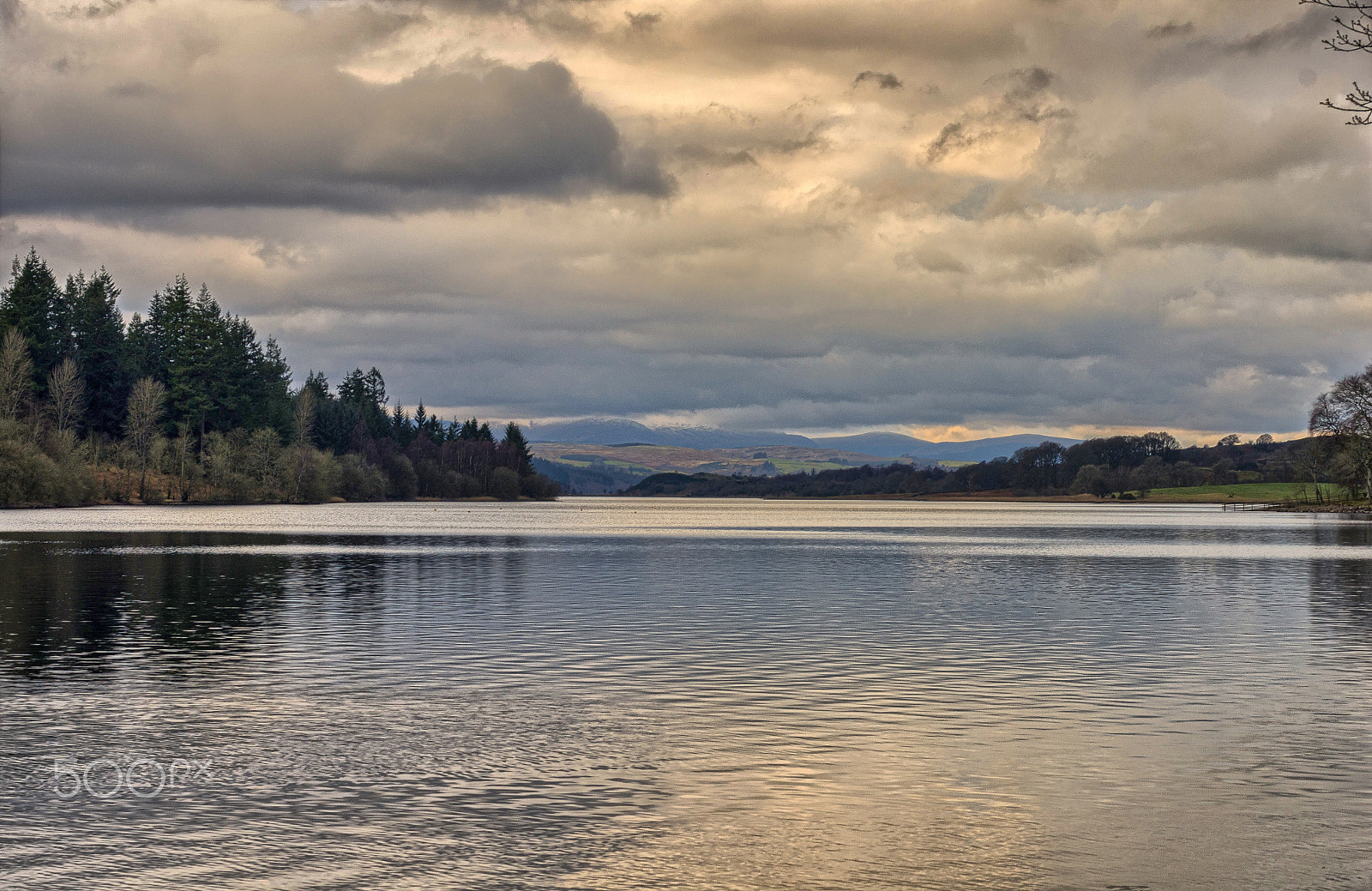 Pentax K-5 + smc PENTAX-F MACRO 50mm F2.8 sample photo. Loch ken photography