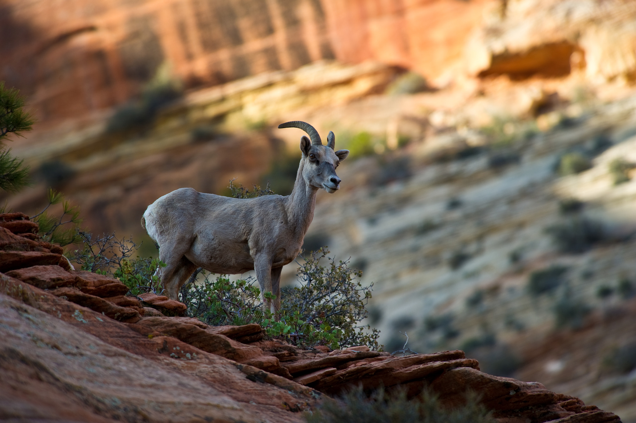 Nikon D3S sample photo. -7486.jpg photography