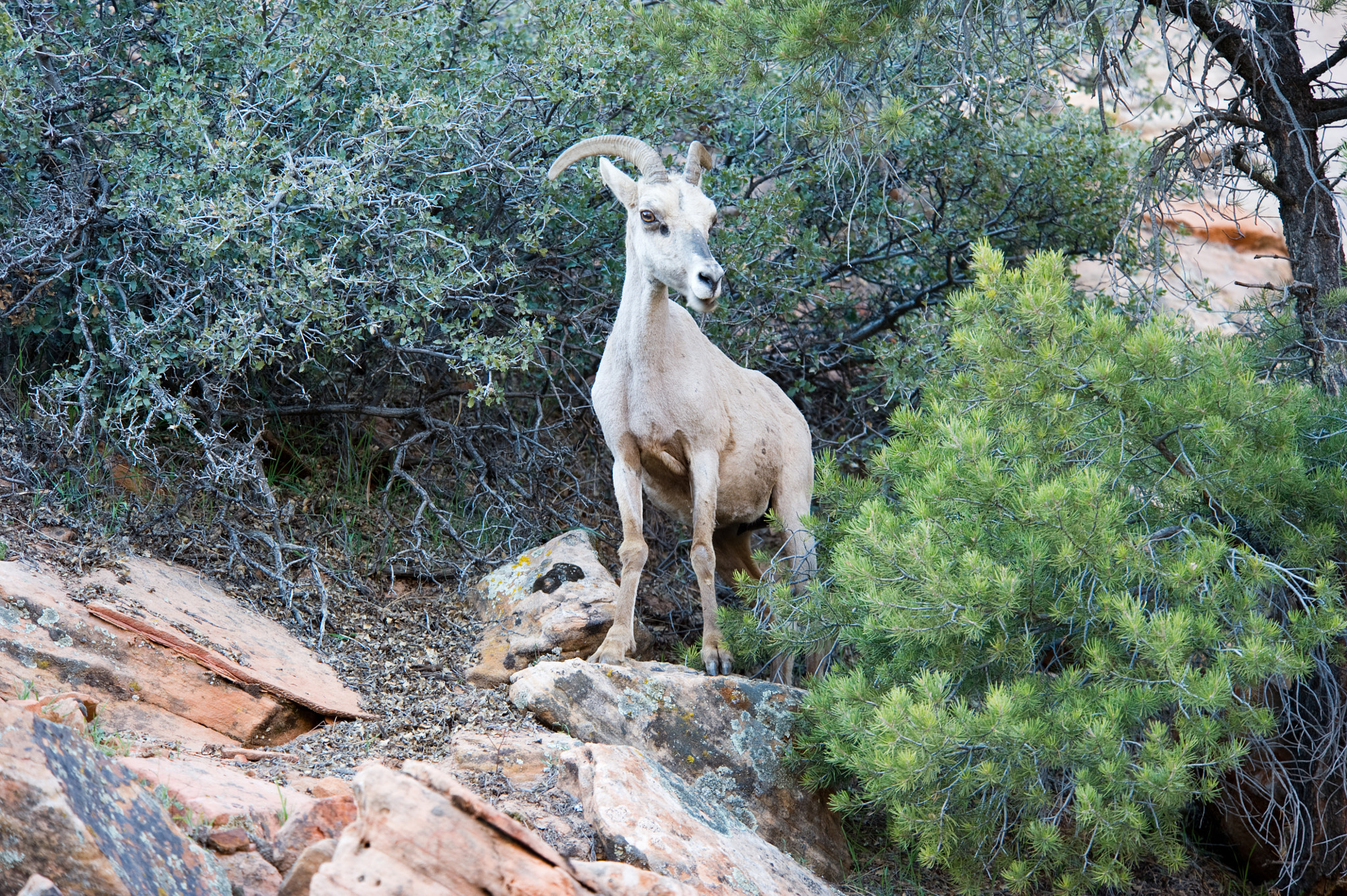 Nikon D3S sample photo. -7765.jpg photography