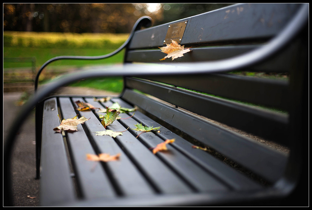 autumn
