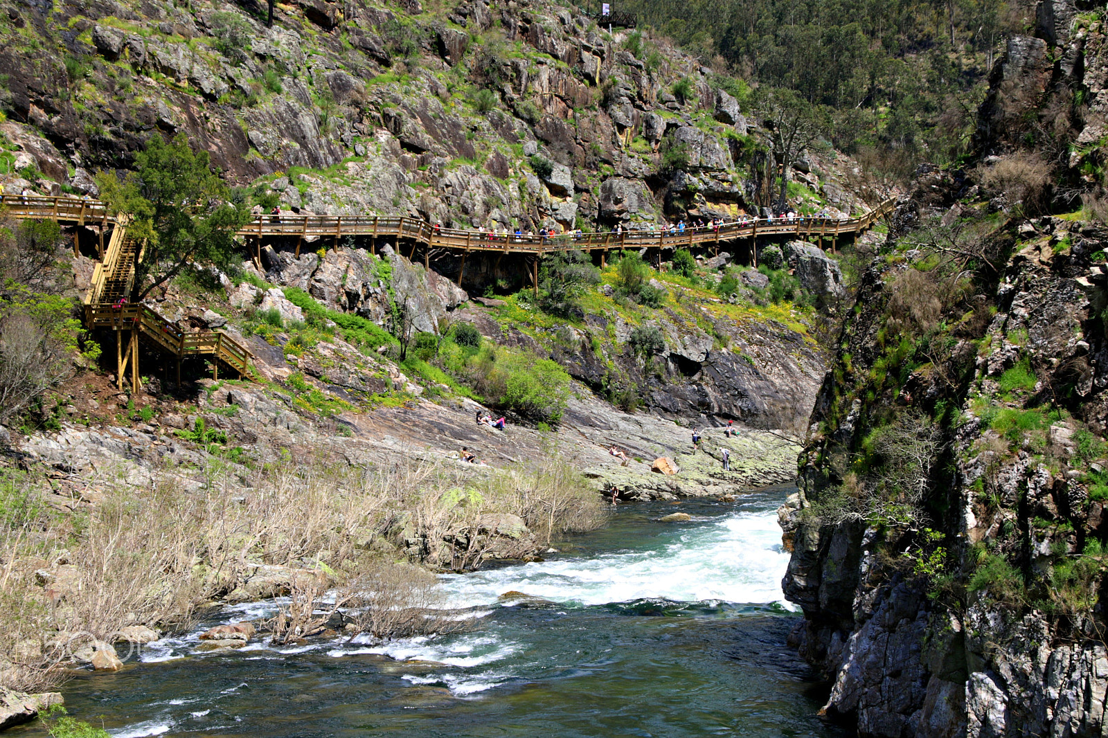 Canon TS-E 90mm F2.8 Tilt-Shift sample photo. Paiva river photography