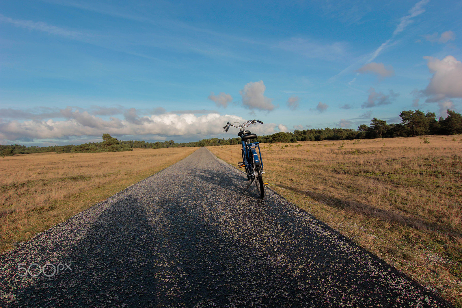 Tokina AT-X Pro 12-24mm F4 (IF) DX sample photo. Tandem photography