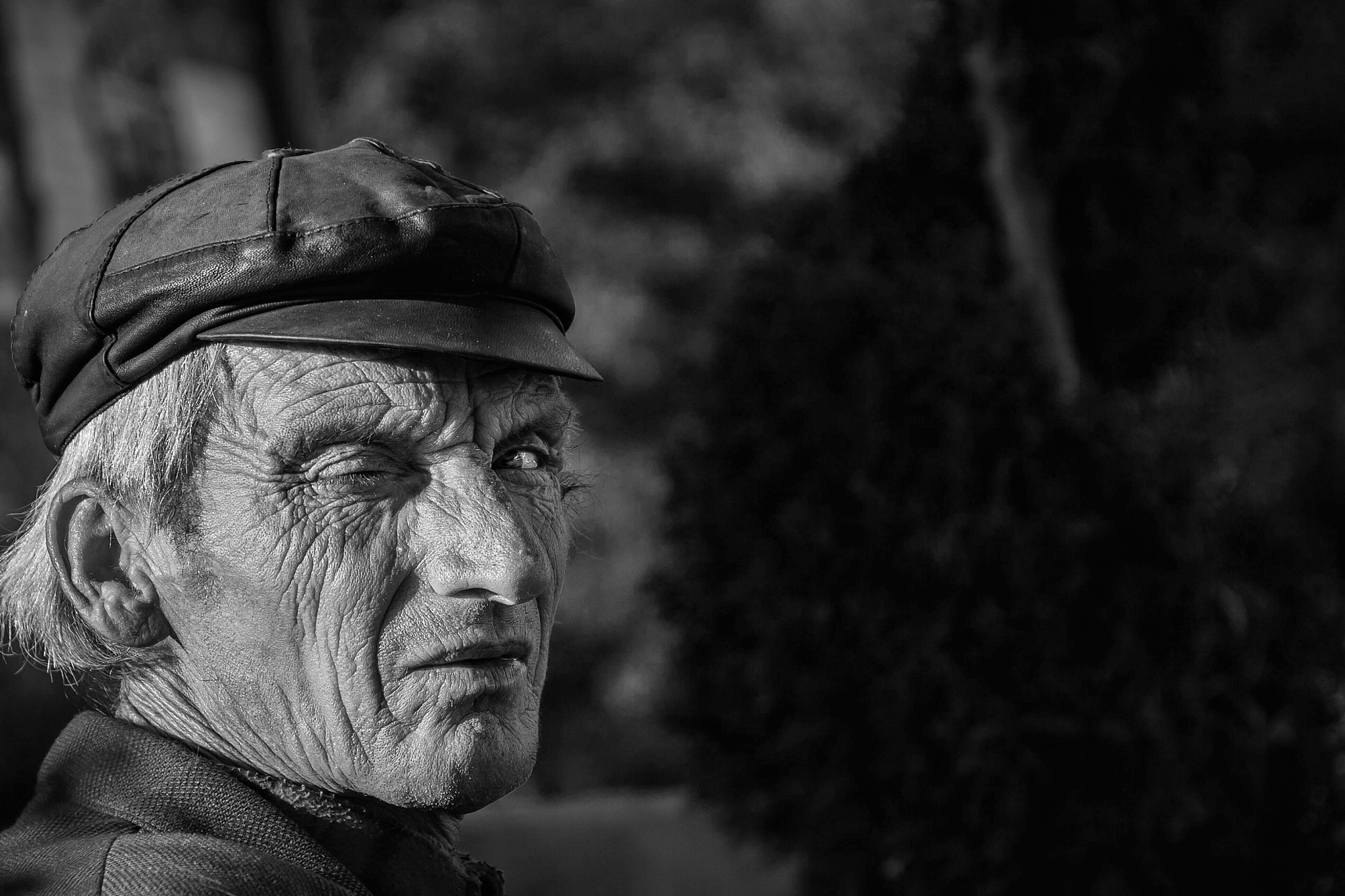 Sigma 18-125mm F3.8-5.6 DC OS HSM sample photo. "i see you boy! "  photography