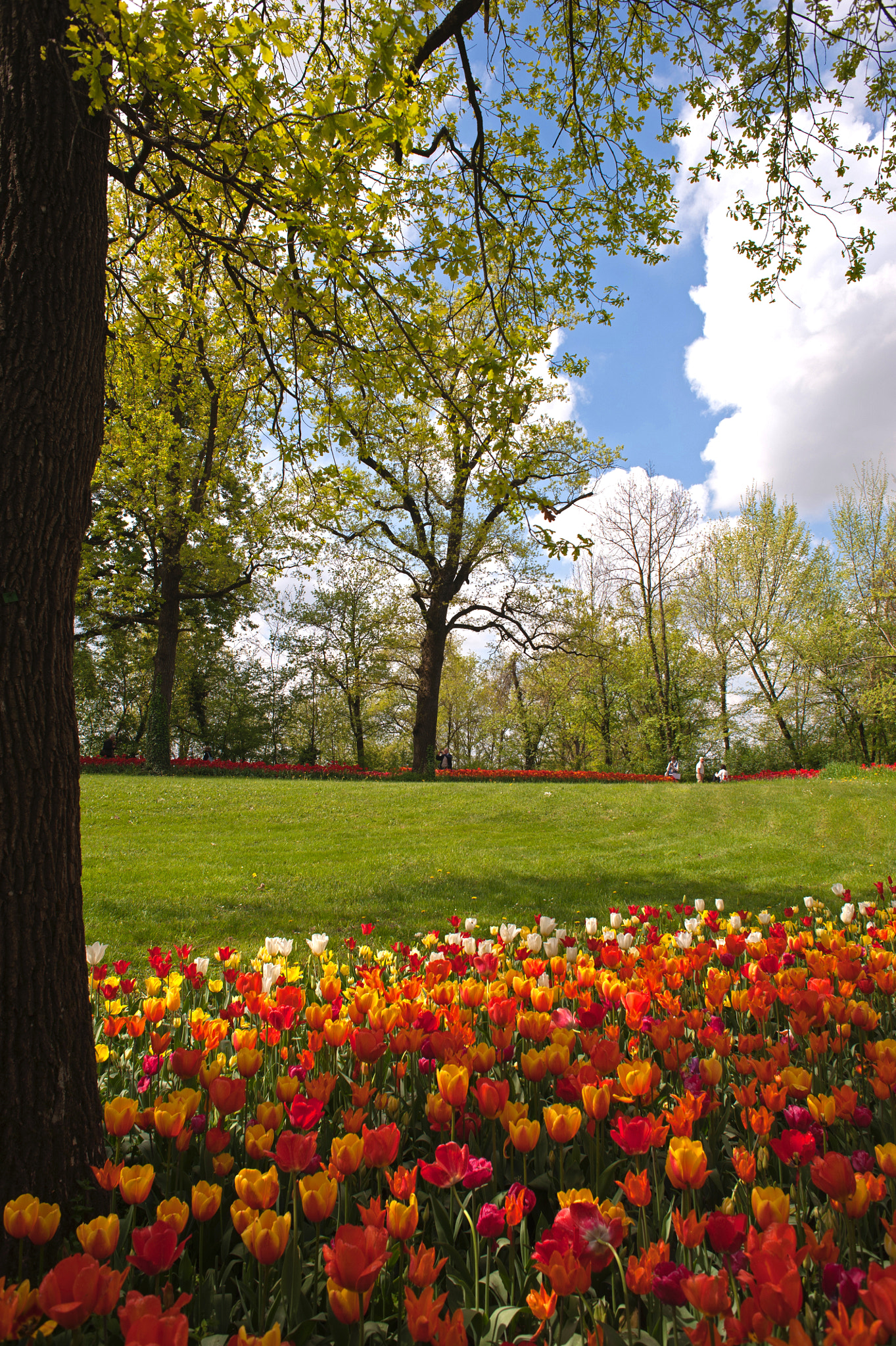 Nikon D700 + AF Nikkor 24mm f/2.8 sample photo. Printemps photography