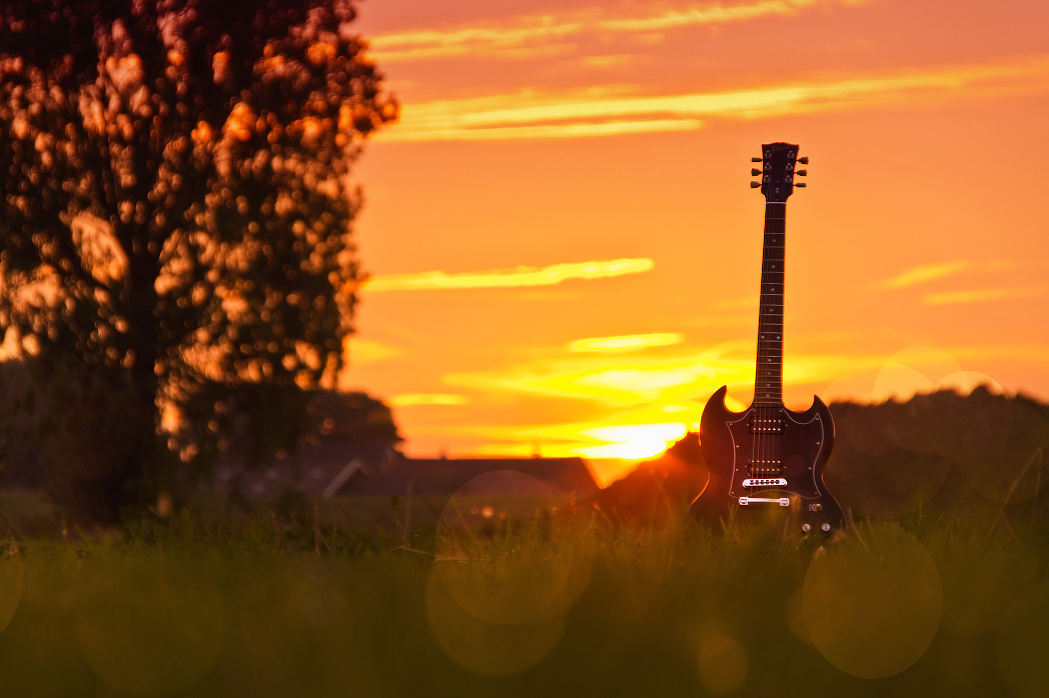 Sony Alpha DSLR-A580 sample photo. Mr gibson photography